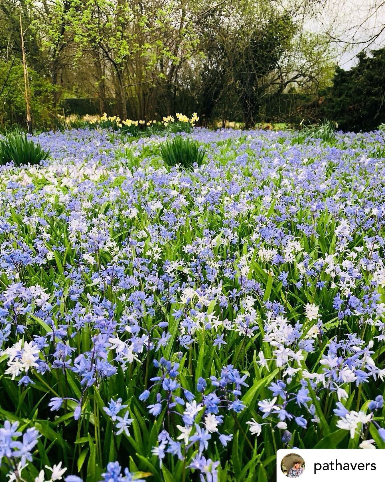 What a gloriously uplifting image from Waterperry Gardens this morning! Certainly sets me up for the weekend - Happy Friday everyone 💙
.
.
.
@pathavers 
#adderleytravel #gardentours #britishgardens #waterperrygardens #visitoxfordshire