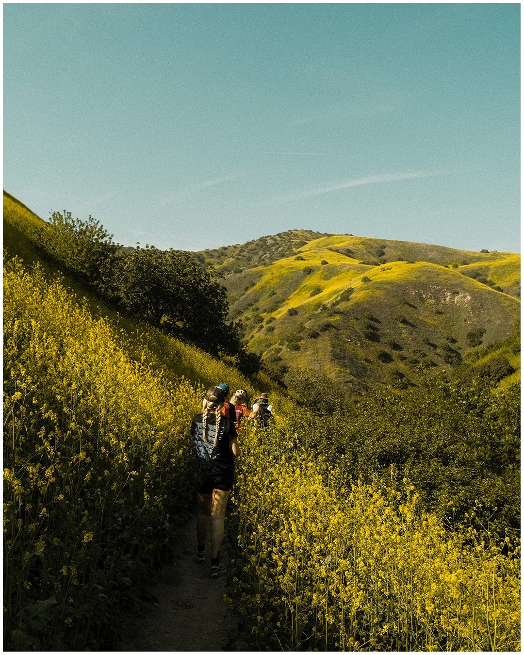 Artboard 1 copy 11.jpg