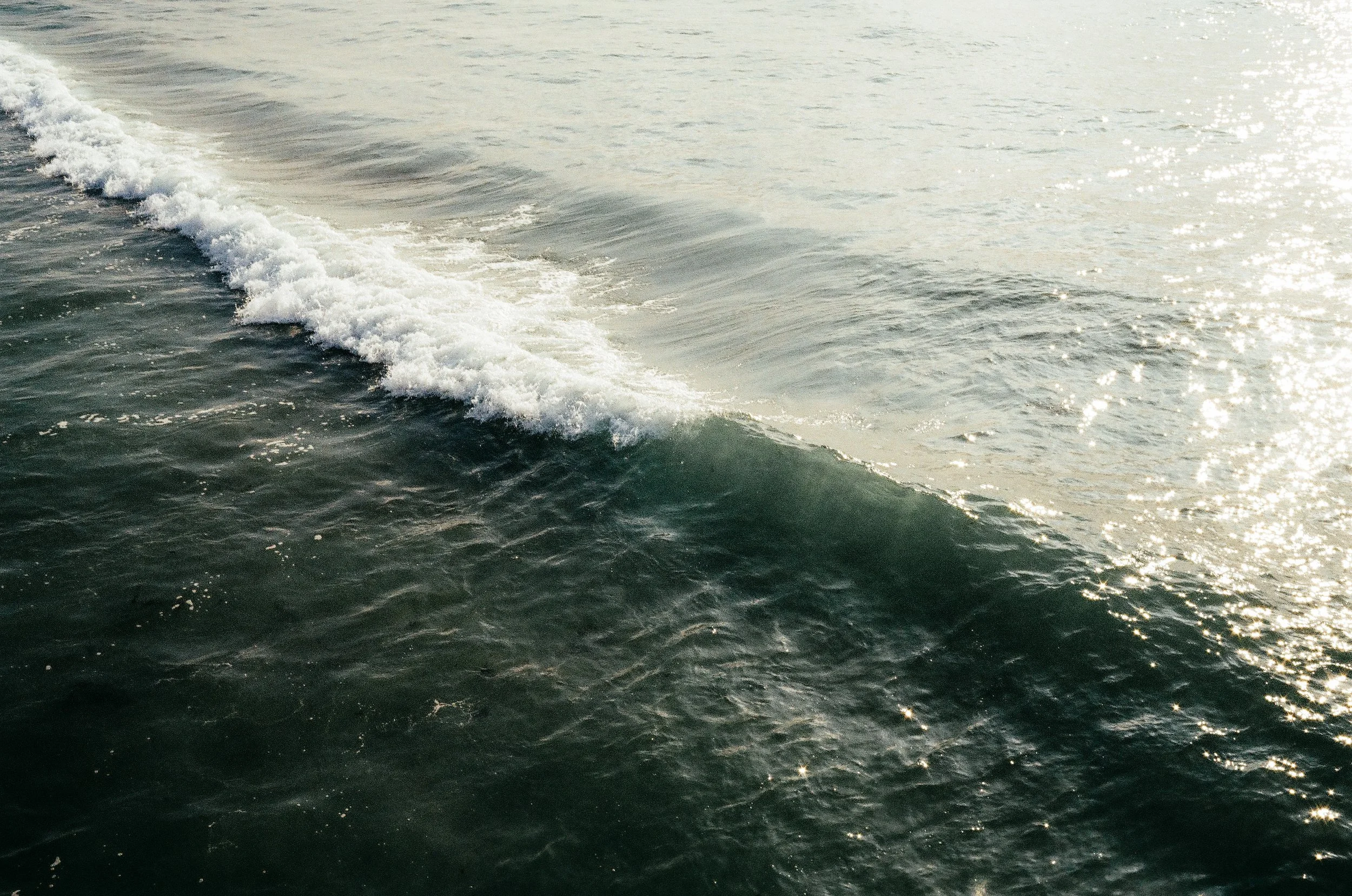 NIKONOS III DECEMBER-5.jpg