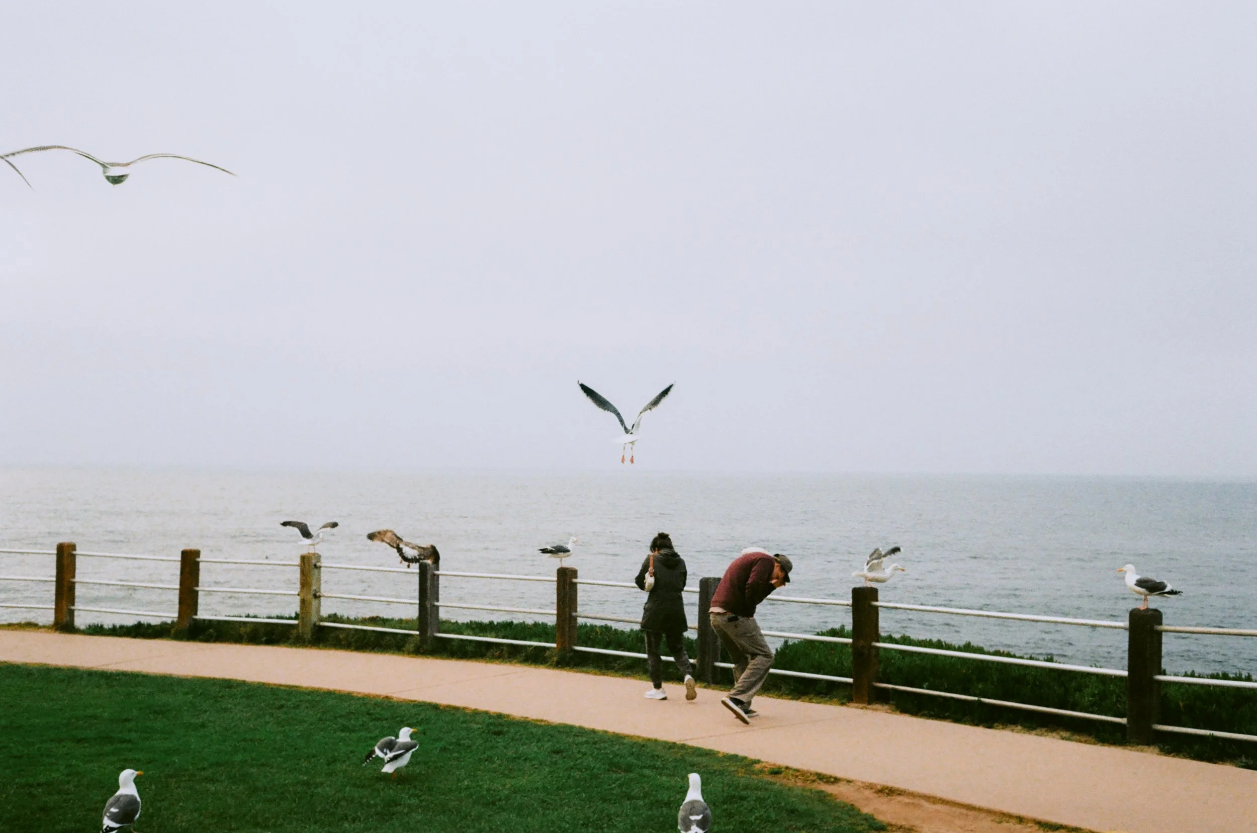 END OF THE YEAR-3.jpg