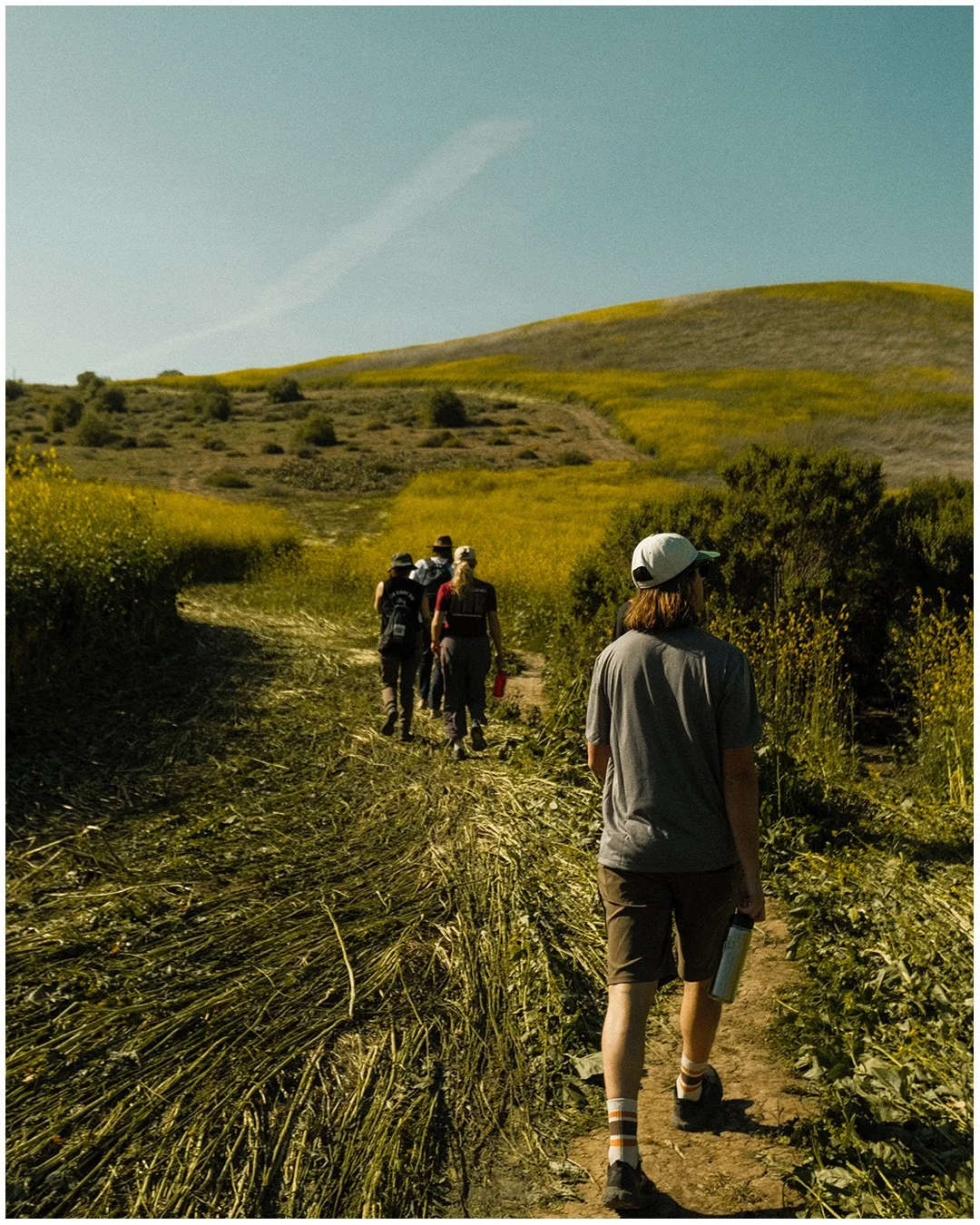 Artboard 1 copy 10.jpg