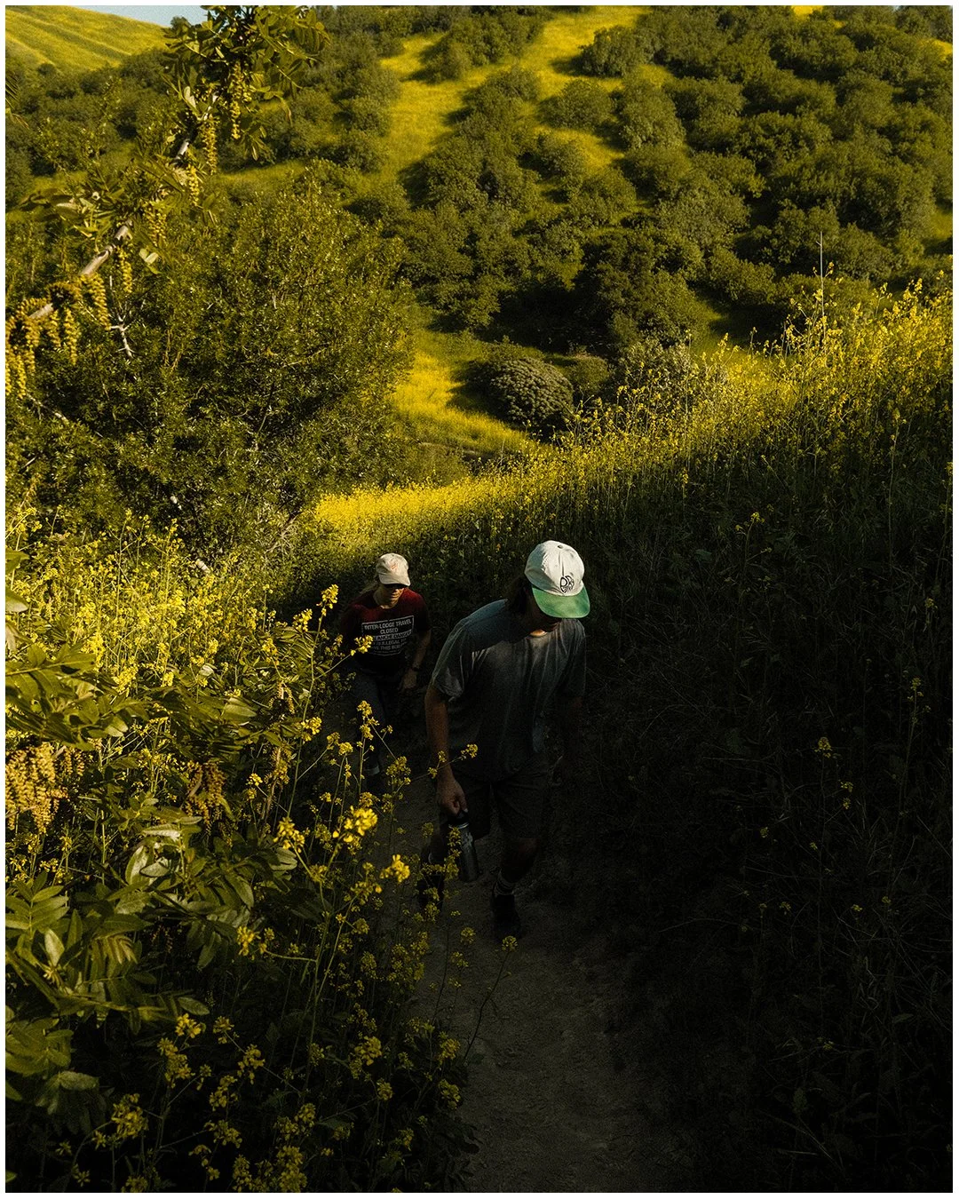 Artboard 1 copy 12.jpg