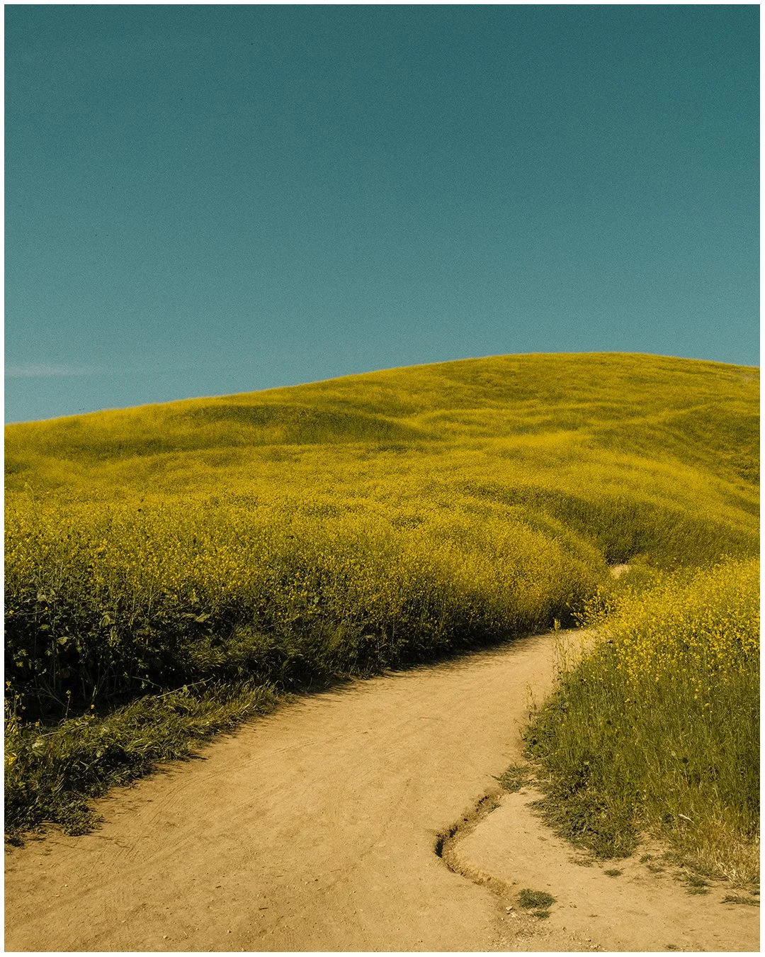 Artboard 1 copy 9.jpg