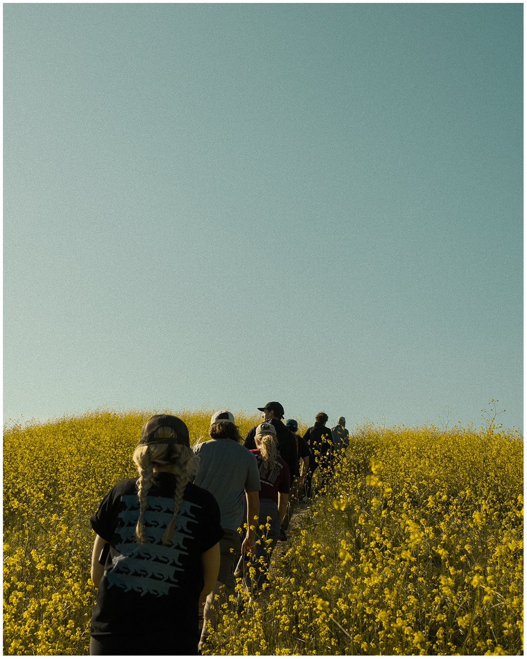 Artboard 1 copy 14.jpg