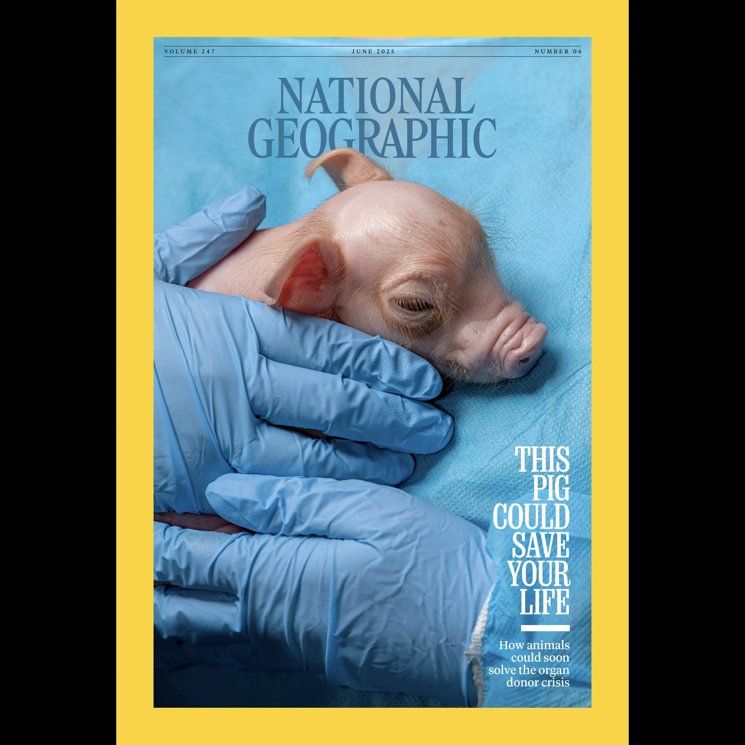 4-CV 0625_17048962 30_View_SnNB_Cover_black.jpg
