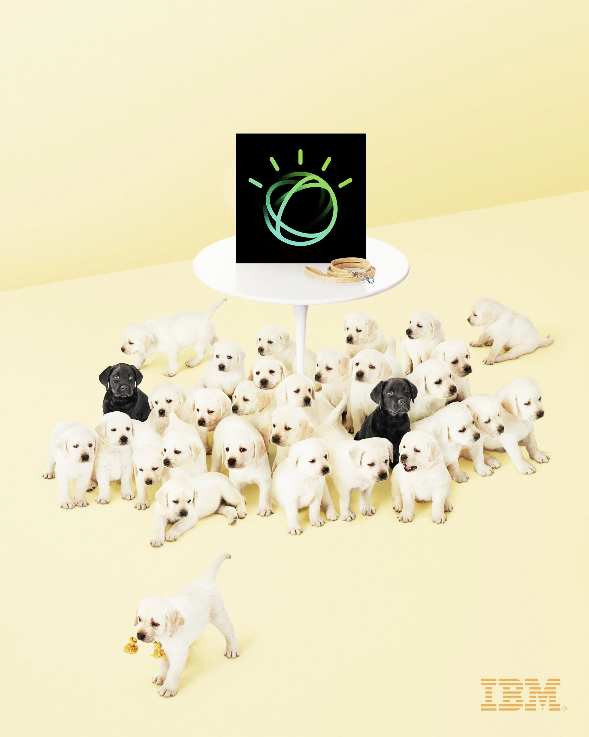 IBM Watson, Guiding Eyes for the Blind