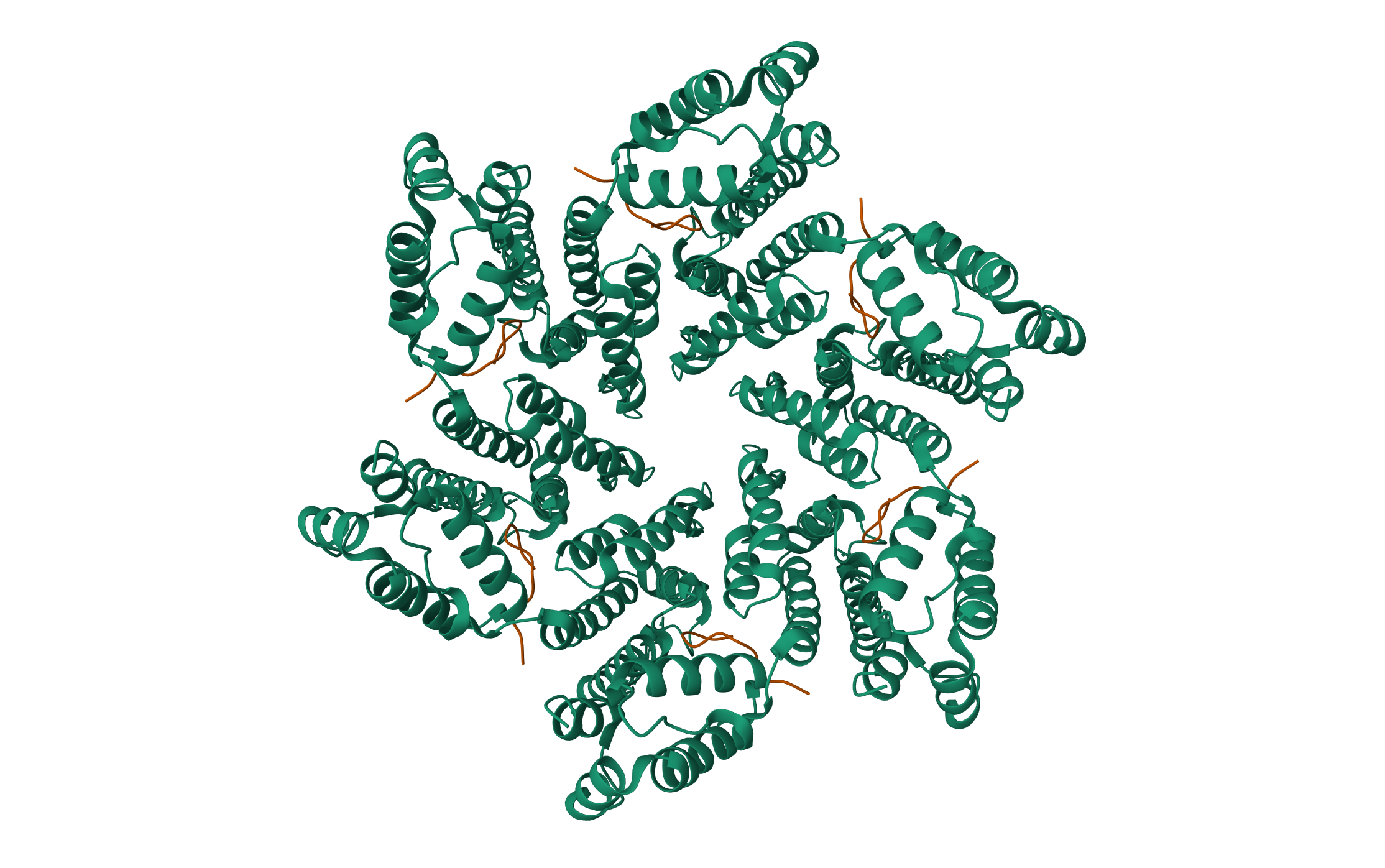 HIV-1 mature capsid hexamer from CA-IP6 CLPs, bound to Nup153 peptide · 8CKY · 2023