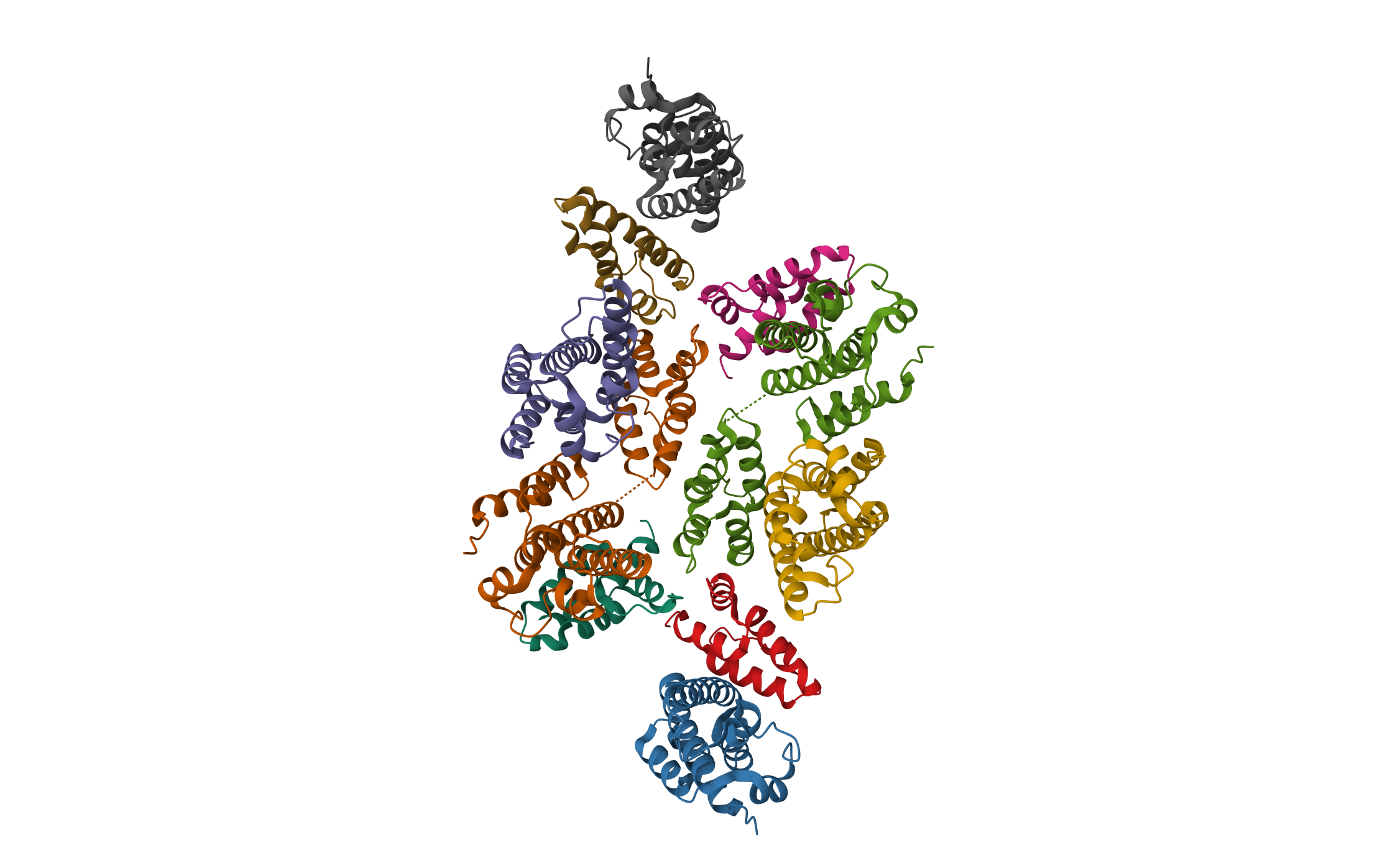 Mature RSV CA lattice: Group IV, hexamer-hexamer interface, class 5'Beta · PDB: 7NOP · 2021