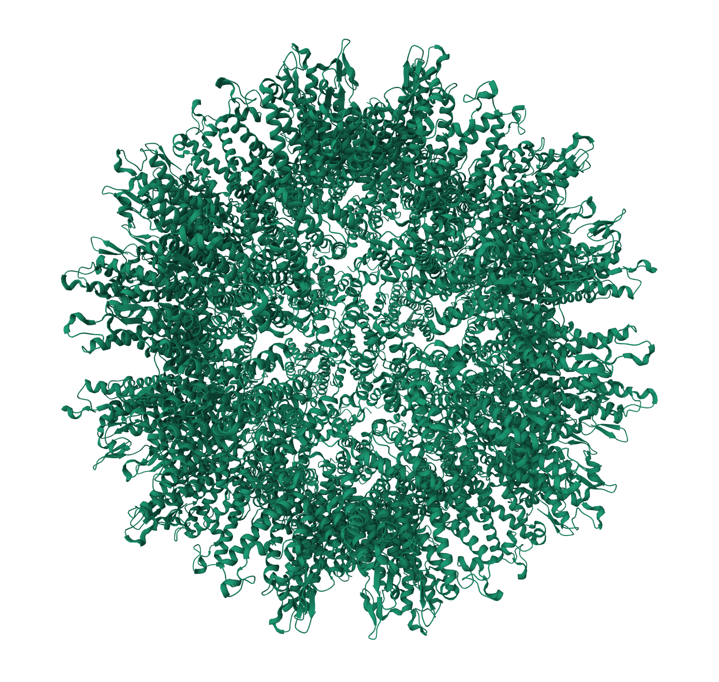 Structure of the mature RSV CA lattice: T=1 CA icosahedron · PDB: 7NO0 · 2021
