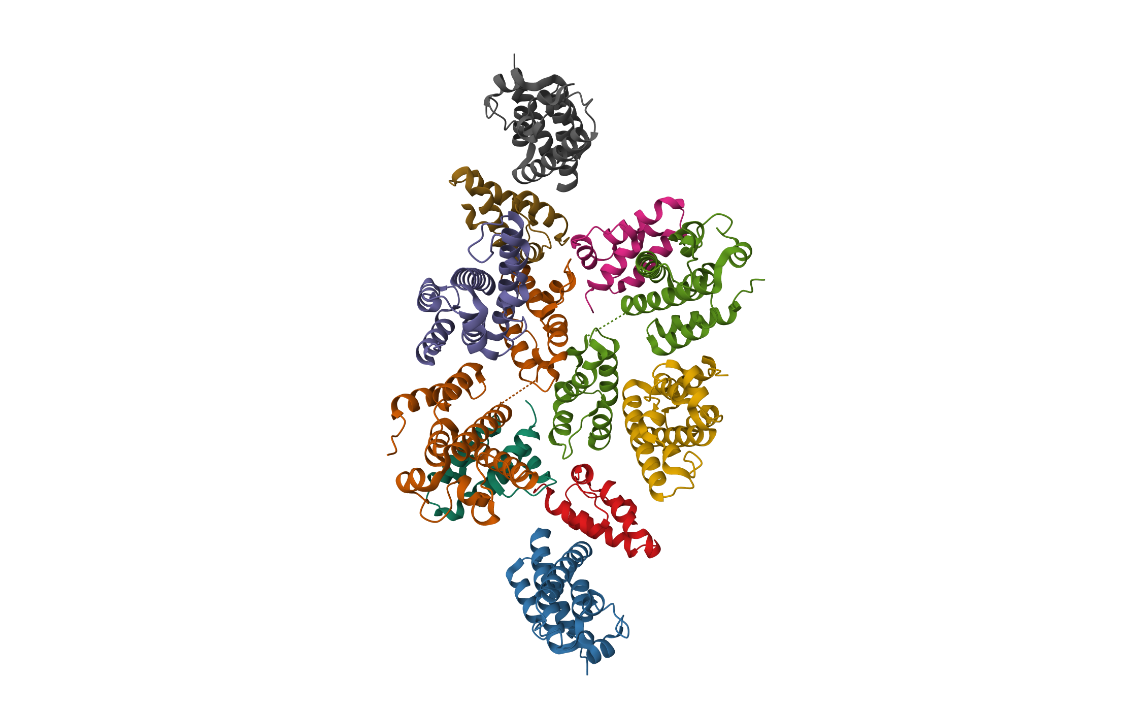 Mature RSV CA lattice: Group I, pentamer-hexamer interface, class 1 · PDB: 7NO6 · 2021