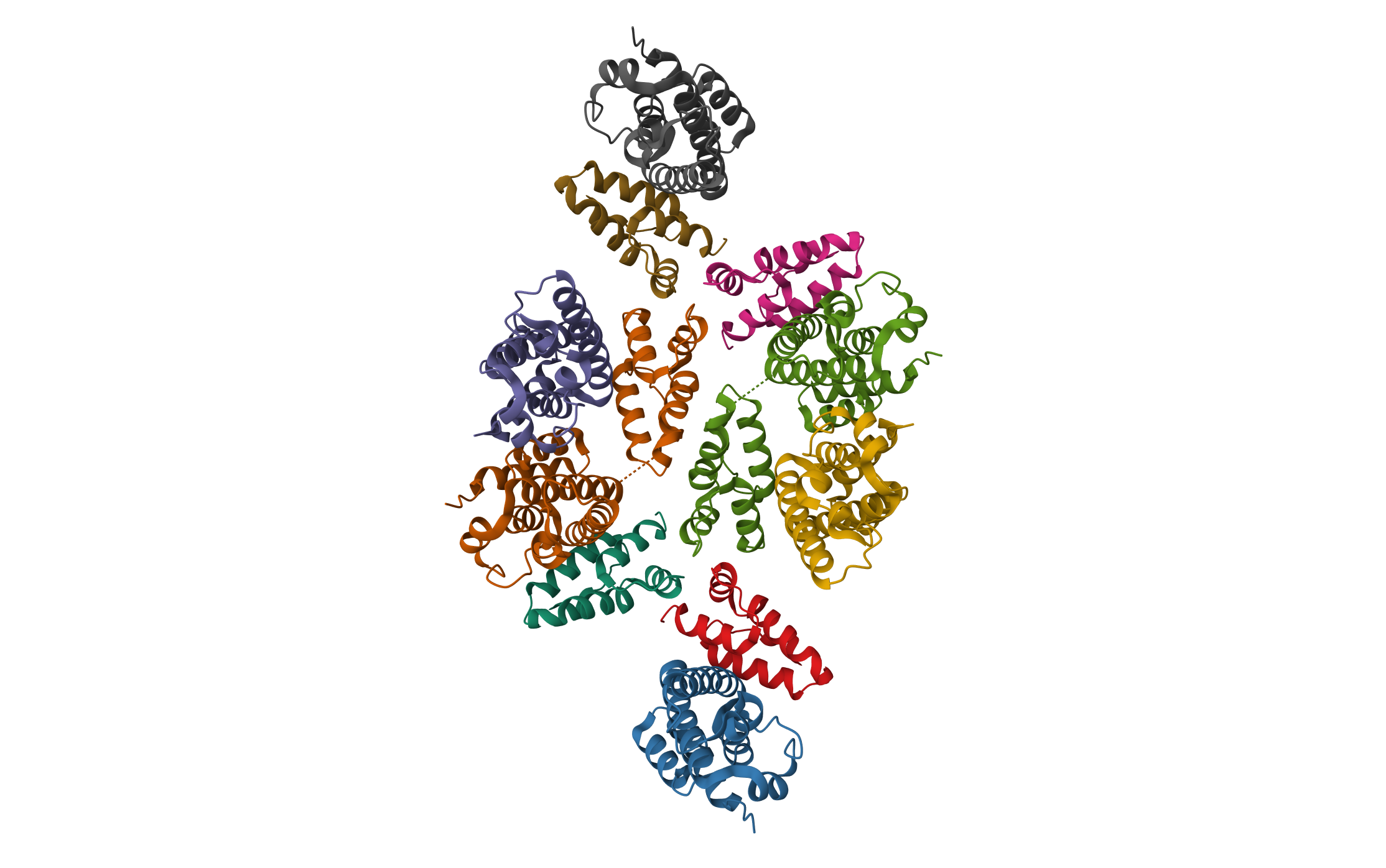 Mature RSV CA lattice: Group II, hexamer-hexamer interface, class 2'6 · PDB: 7NOB · 2021