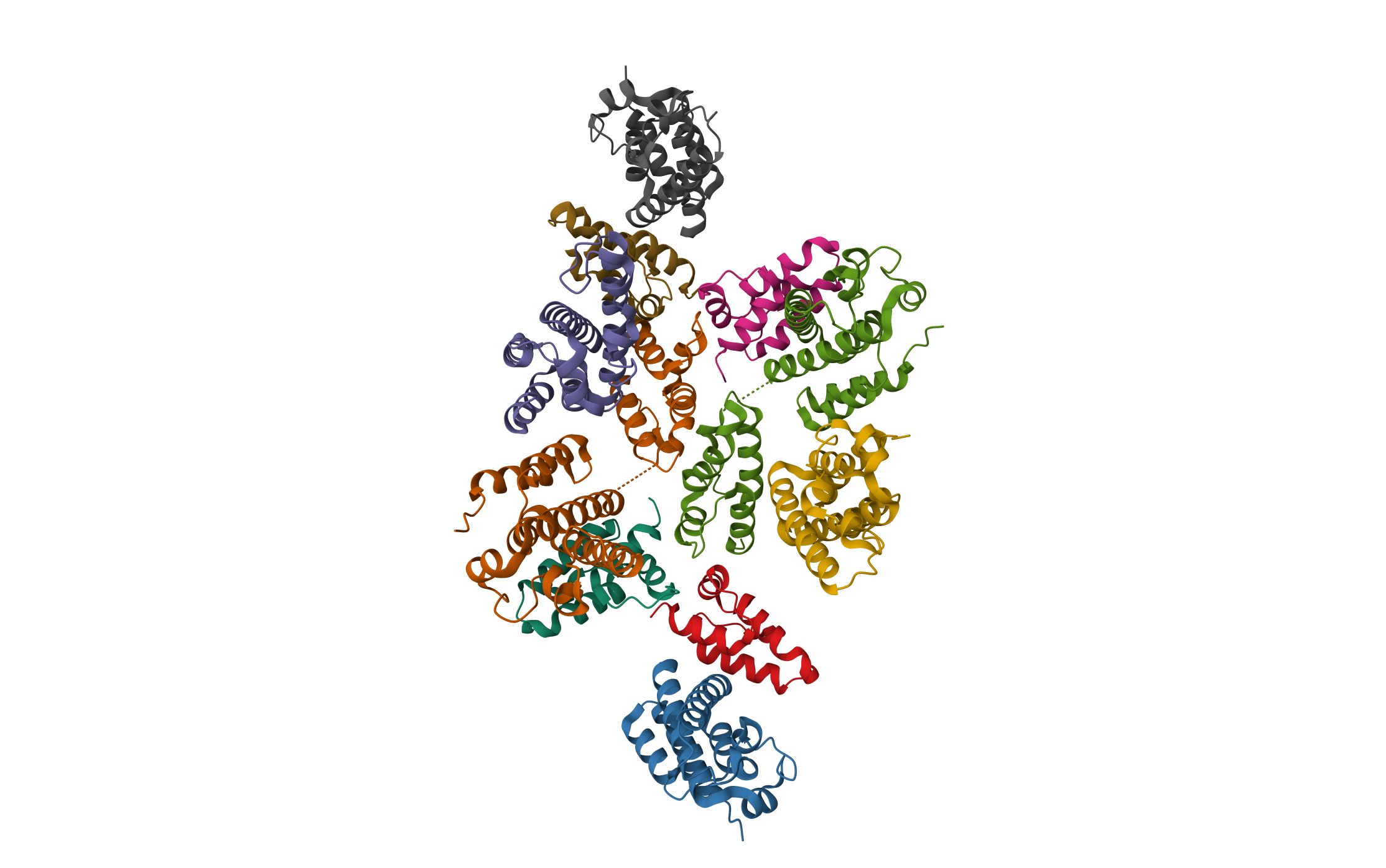 Mature RSV CA lattice: Group I, pentamer-hexamer interface, class 1"6 · PDB: 7NO8 · 2021