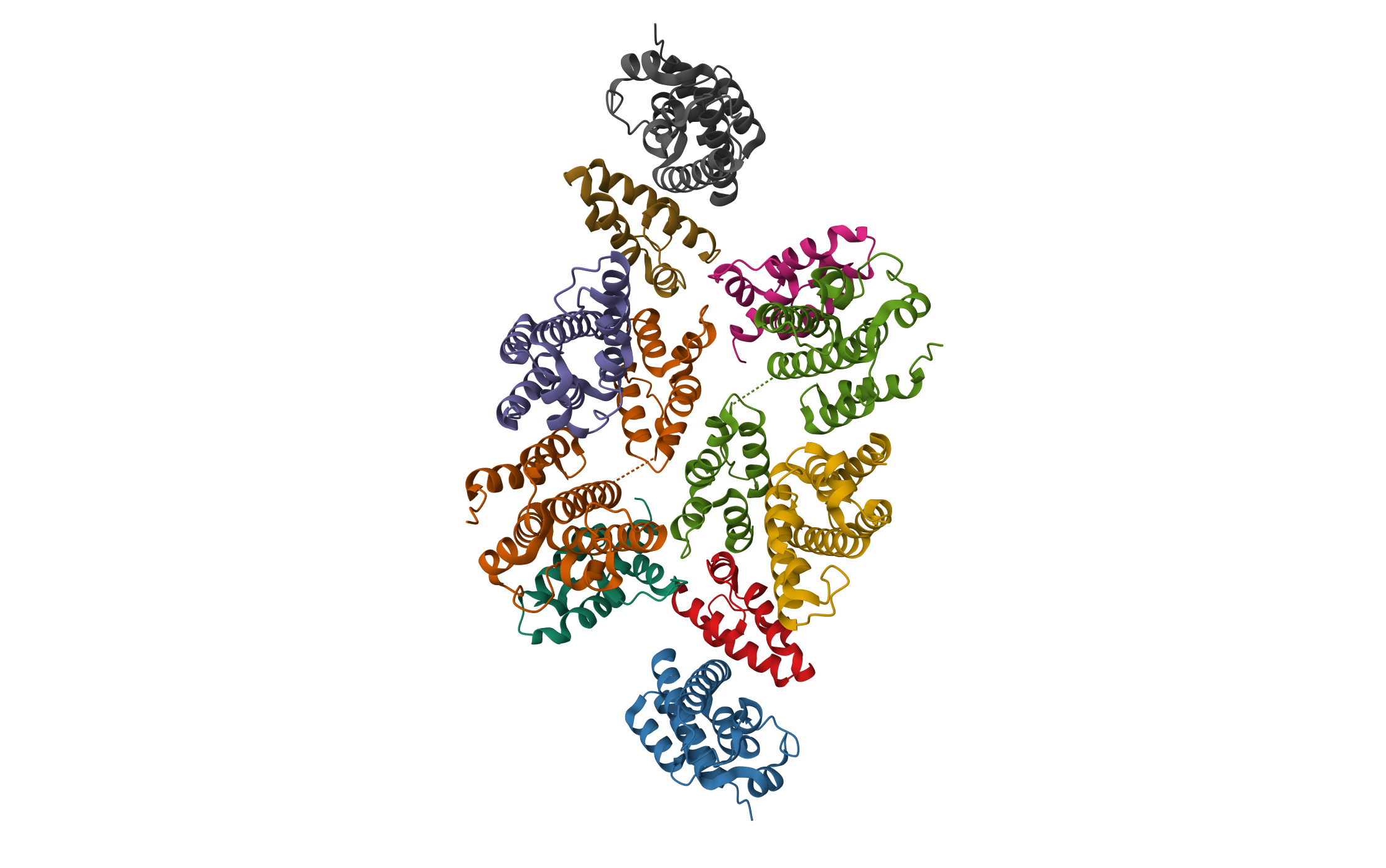 Mature RSV CA lattice: Group III, hexamer-hexamer interface, class 3'4 · PDB: 7NOD · 2021