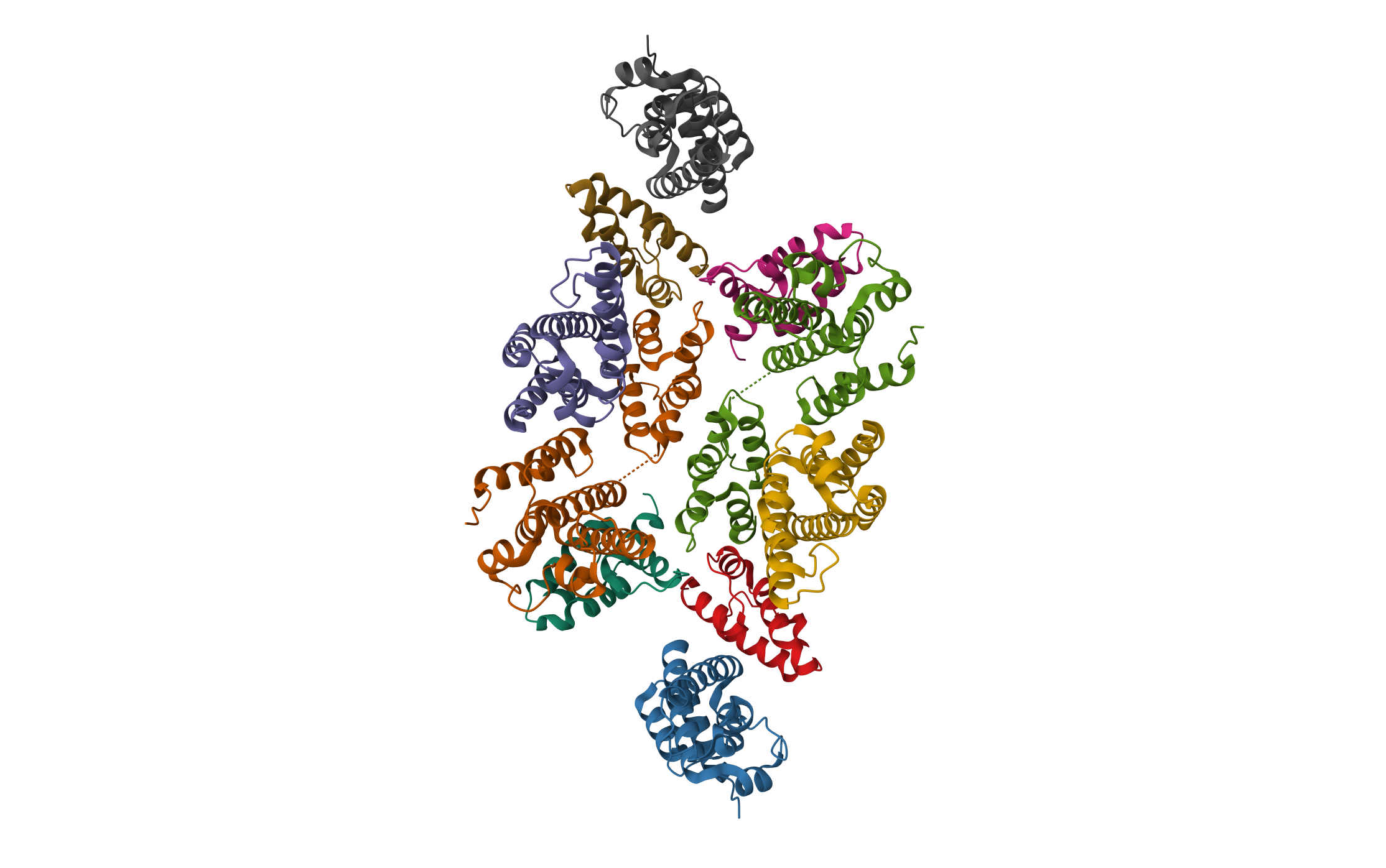 Mature RSV CA lattice: Group III, hexamer-hexamer interface, class 4'4 · PDB: 7NOF · 2021