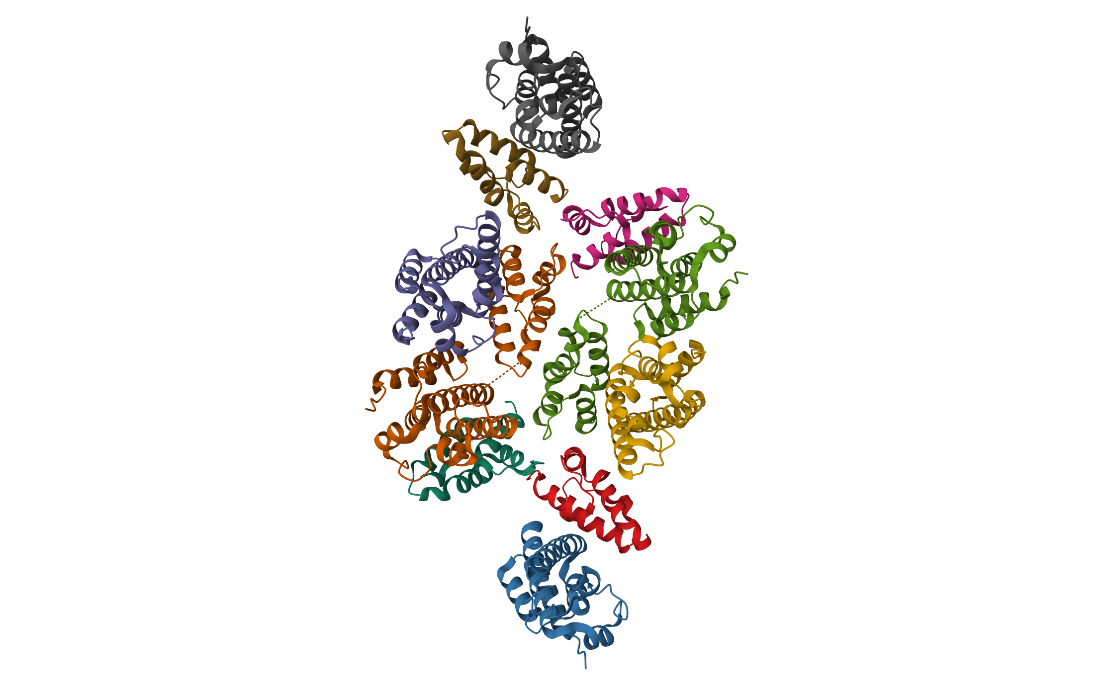 Mature RSV CA lattice: Group IV, hexamer-hexamer interface, class 3'Gamma · PDB: 7NOK · 2021