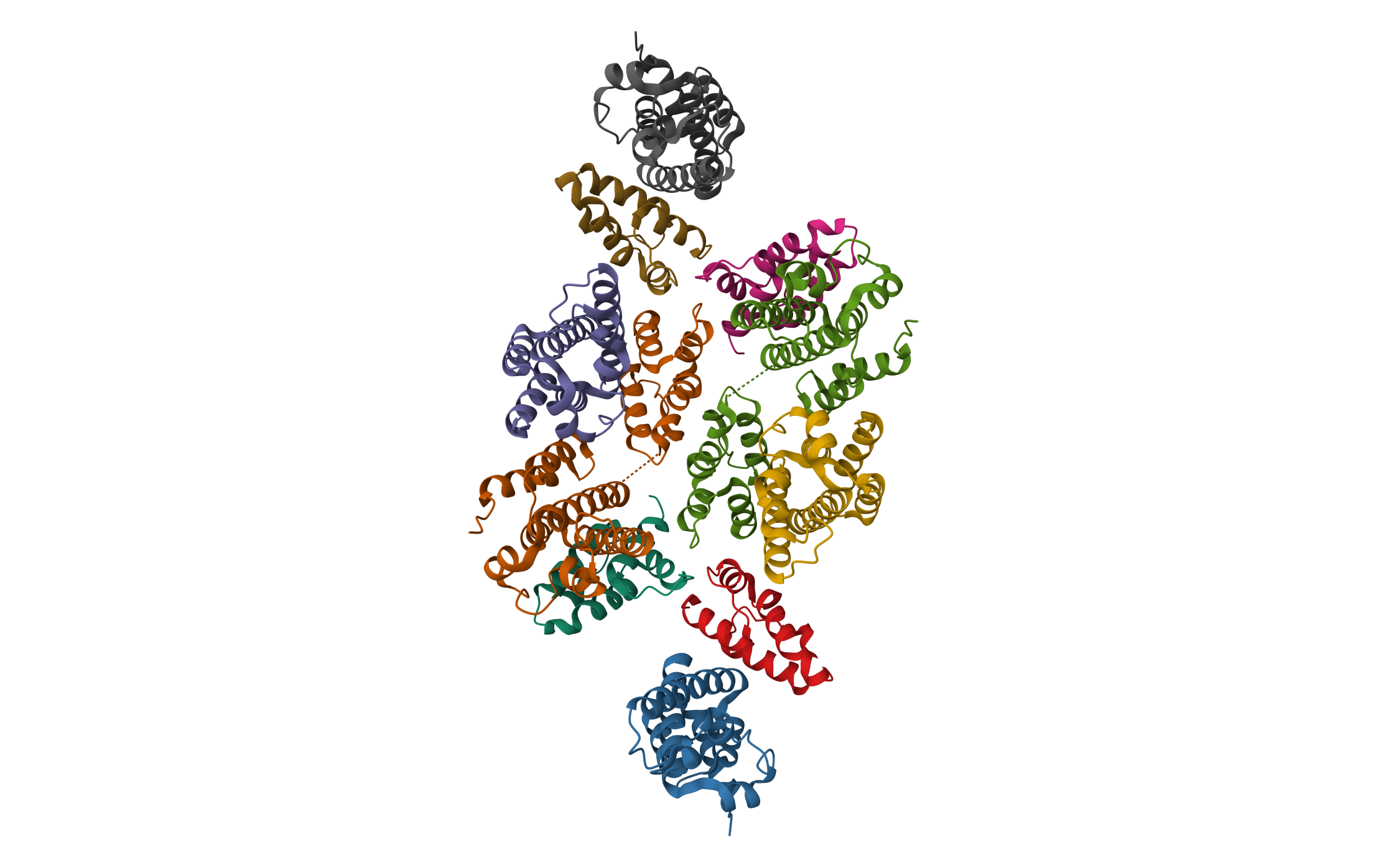 Mature RSV CA lattice: Group III, hexamer-hexamer interface, class 4'5 · PDB: 7NOG · 2021