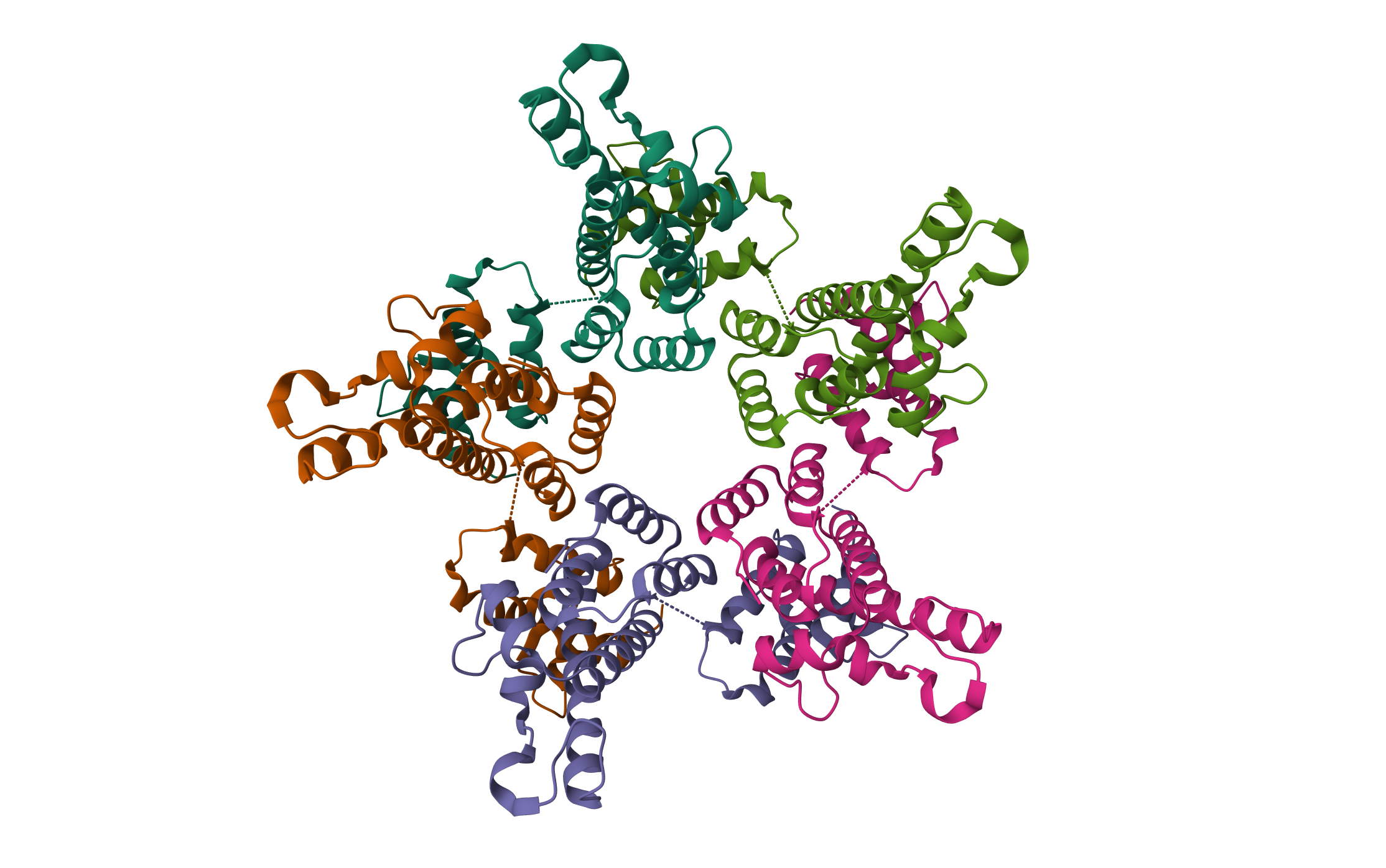 Structure of the mature RSV CA lattice: pentamer derived from polyhedral VLPs · PDB: 7NO3 · 2021