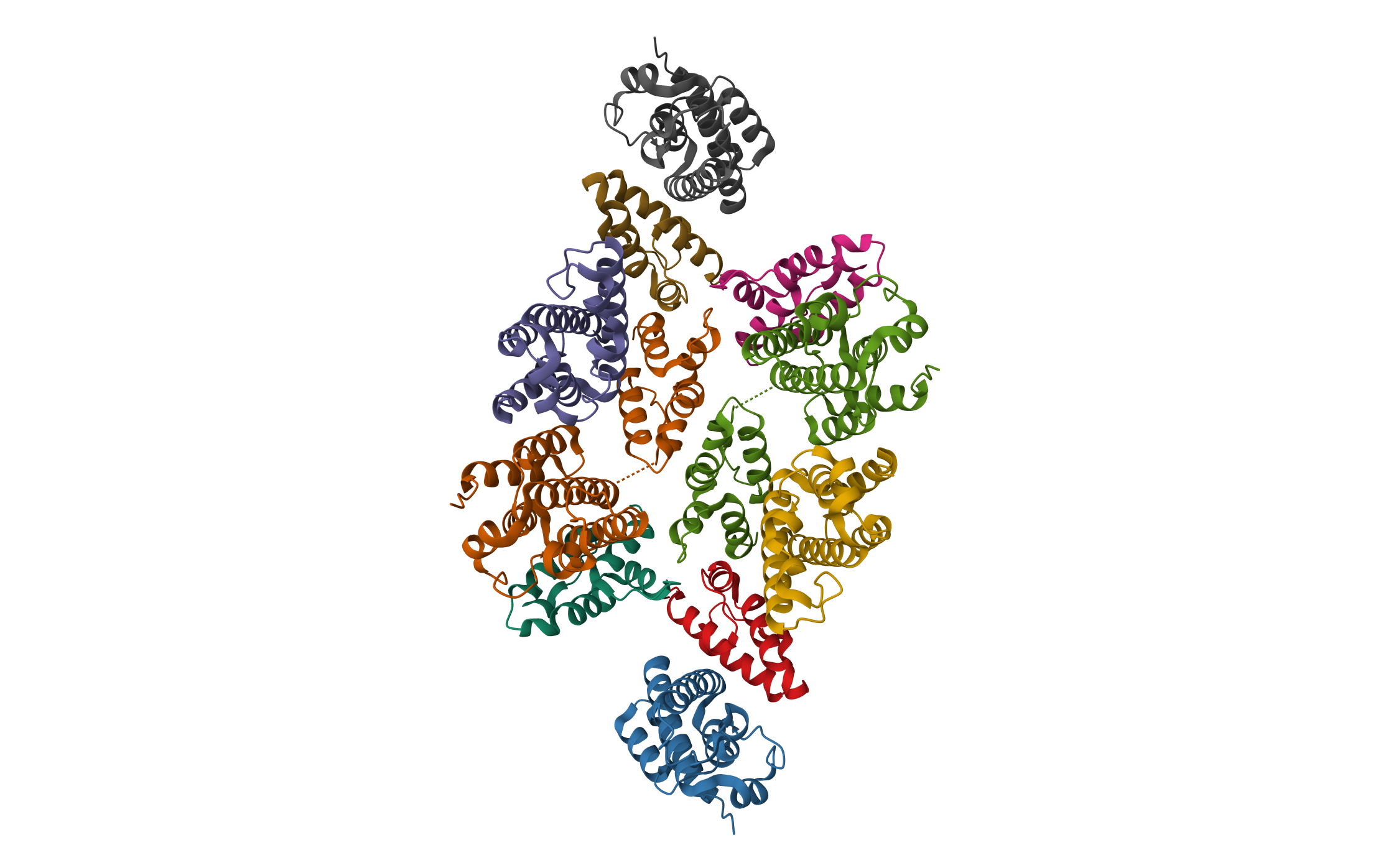 Mature RSV CA lattice: Group III, hexamer-hexamer interface, class 3'3 · PDB: 7NOC · 2021