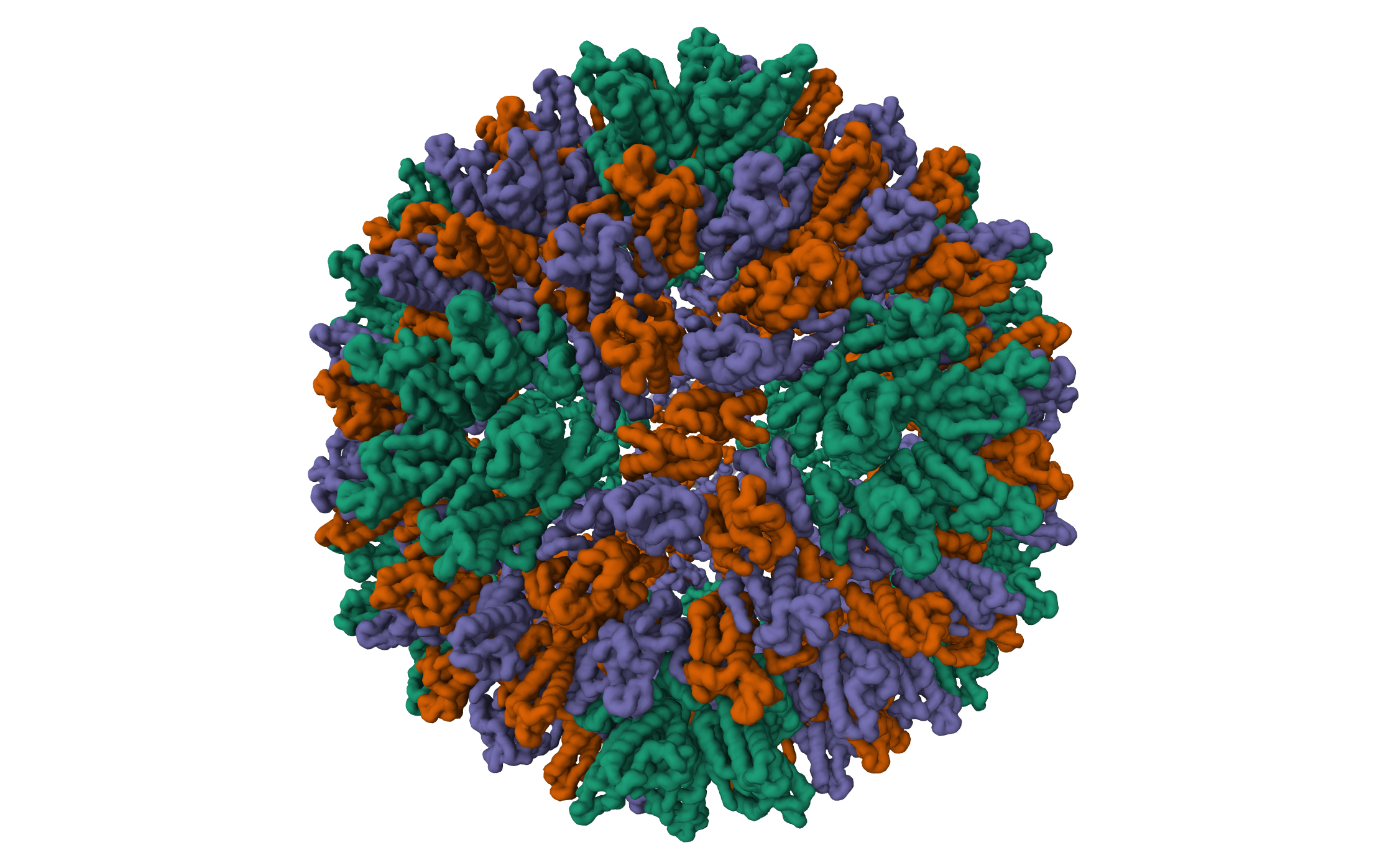 Structure of the mature RSV CA lattice: T=3 CA icosahedron · PDB: 7NO1 · 2021