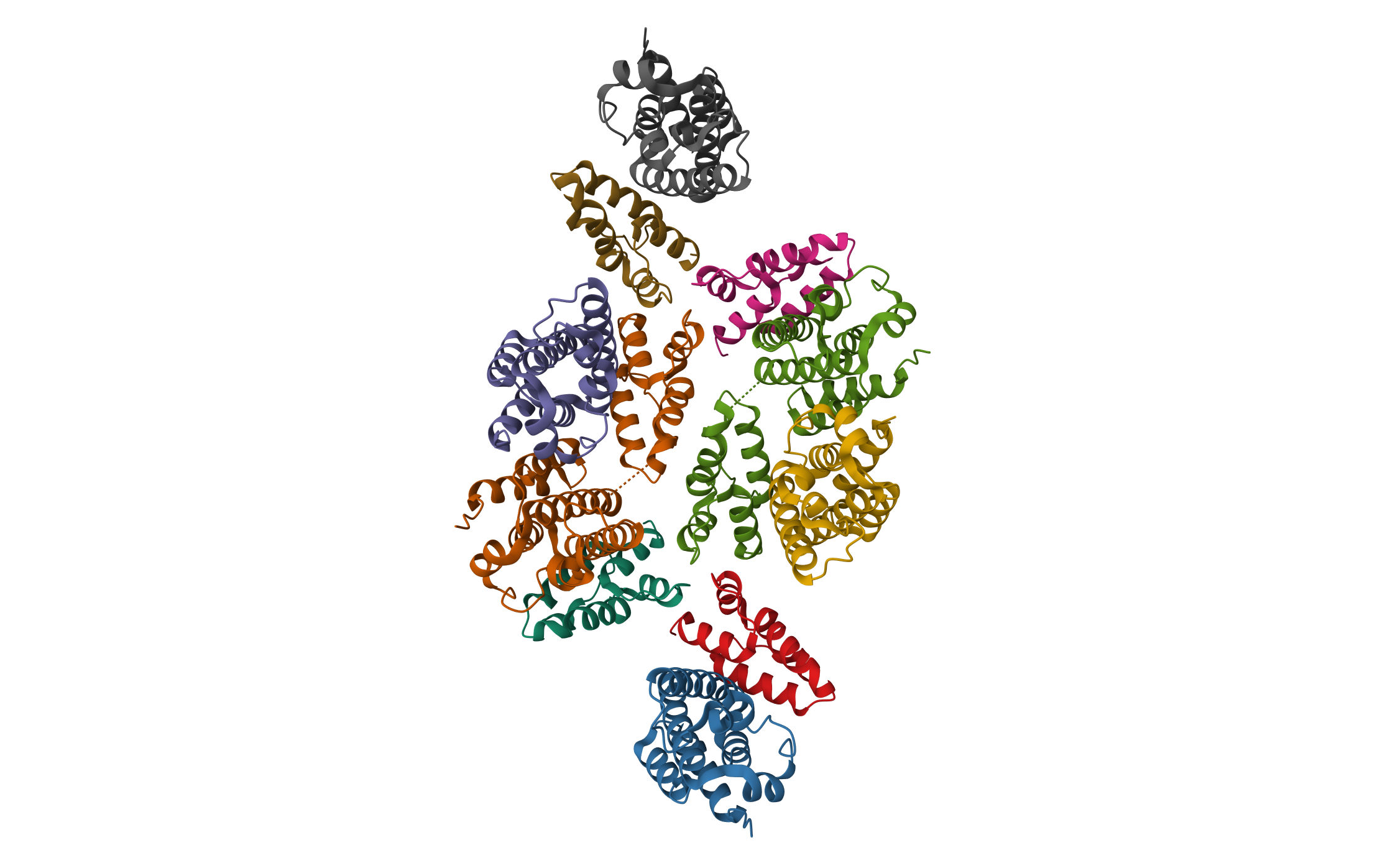 Mature RSV CA lattice: Group IV, hexamer-hexamer interface, class 5'Alpha · PDB: 7NOO · 2021