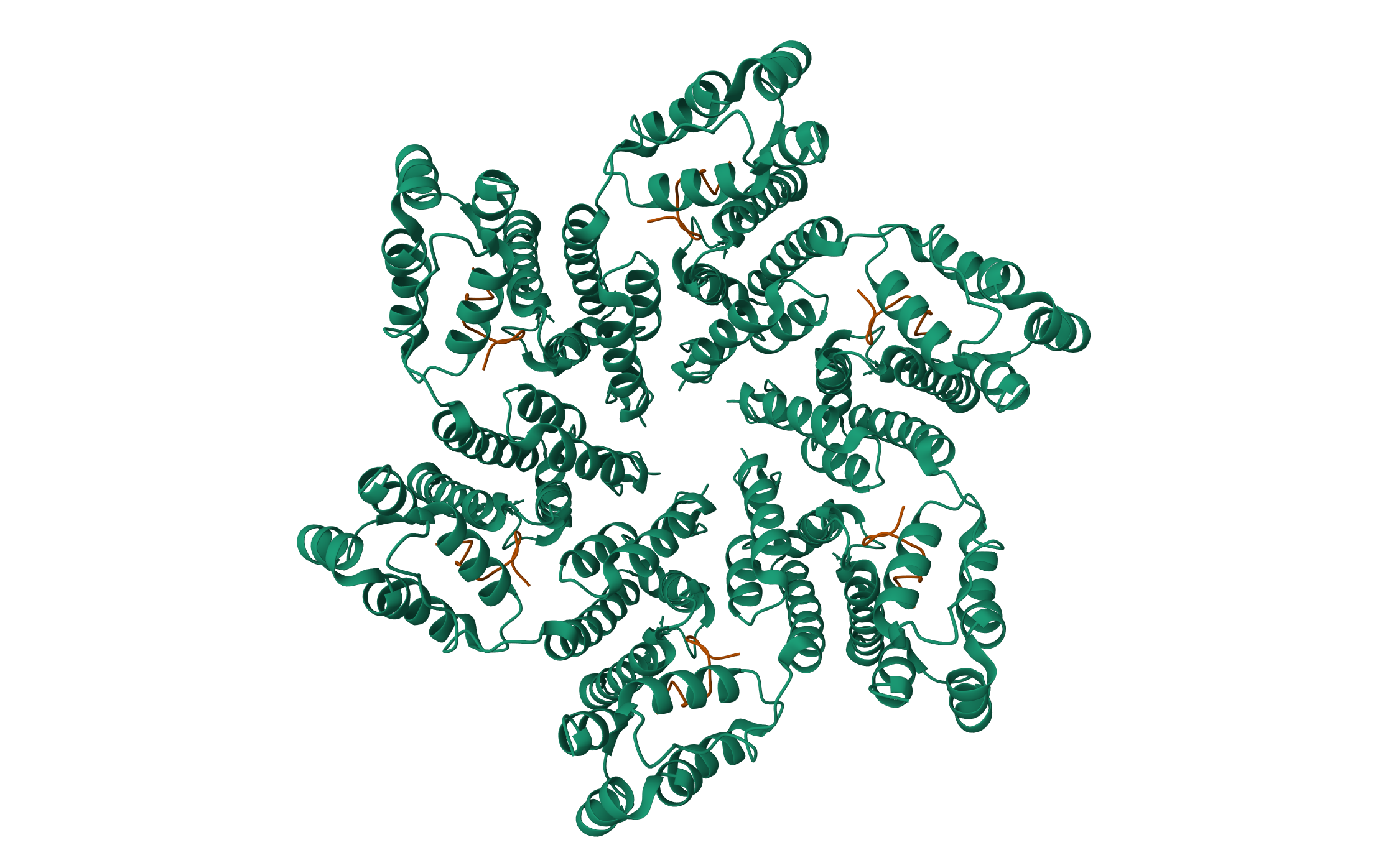 HIV-1 mature capsid hexamer from CA-IP6 CLPs, bound to Sec24C peptide · PDB: 8CL3 · 2023