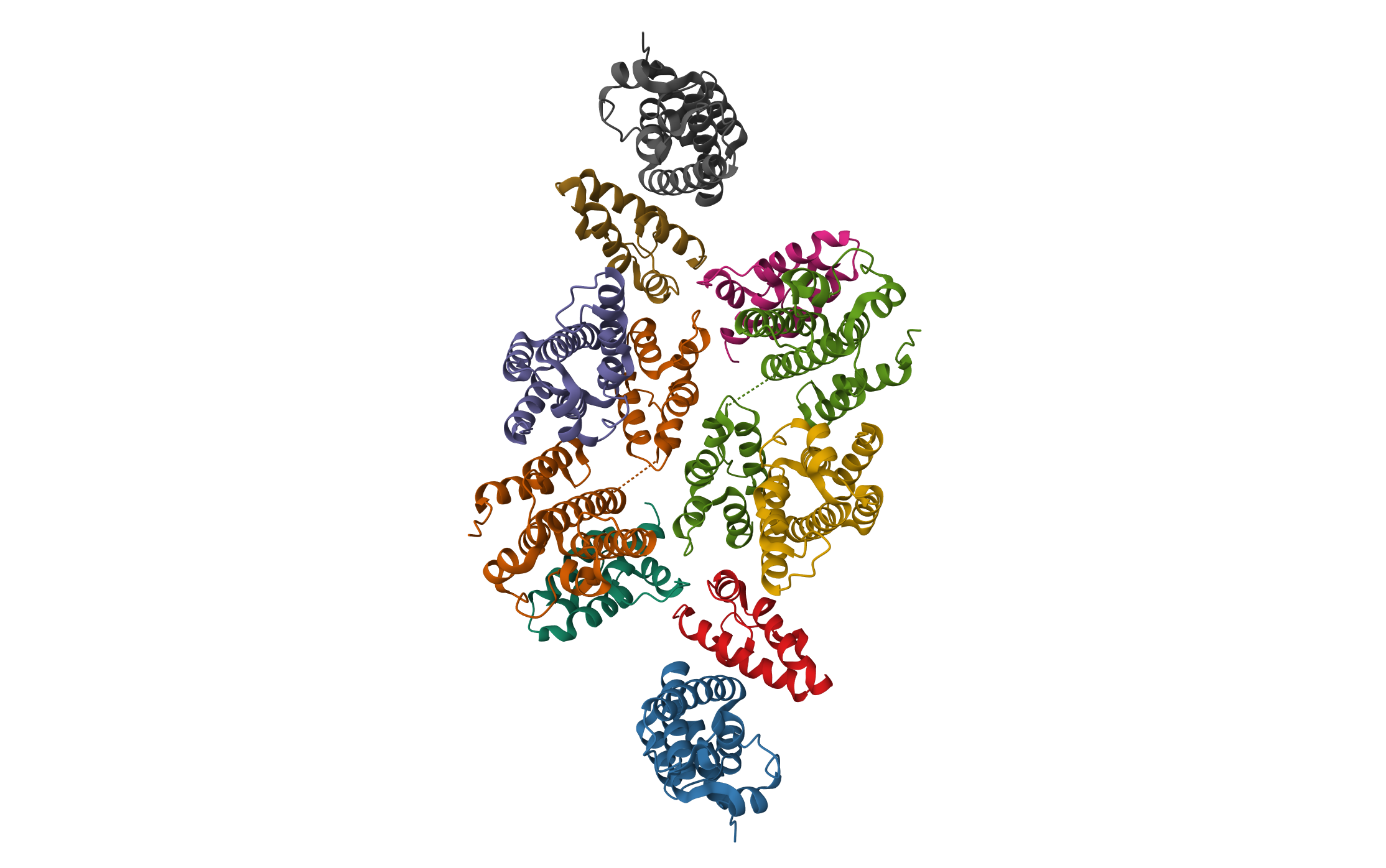 Mature RSV CA lattice: Group IV, hexamer-hexamer interface, class 4'Gamma · PDB: 7NON · 2021