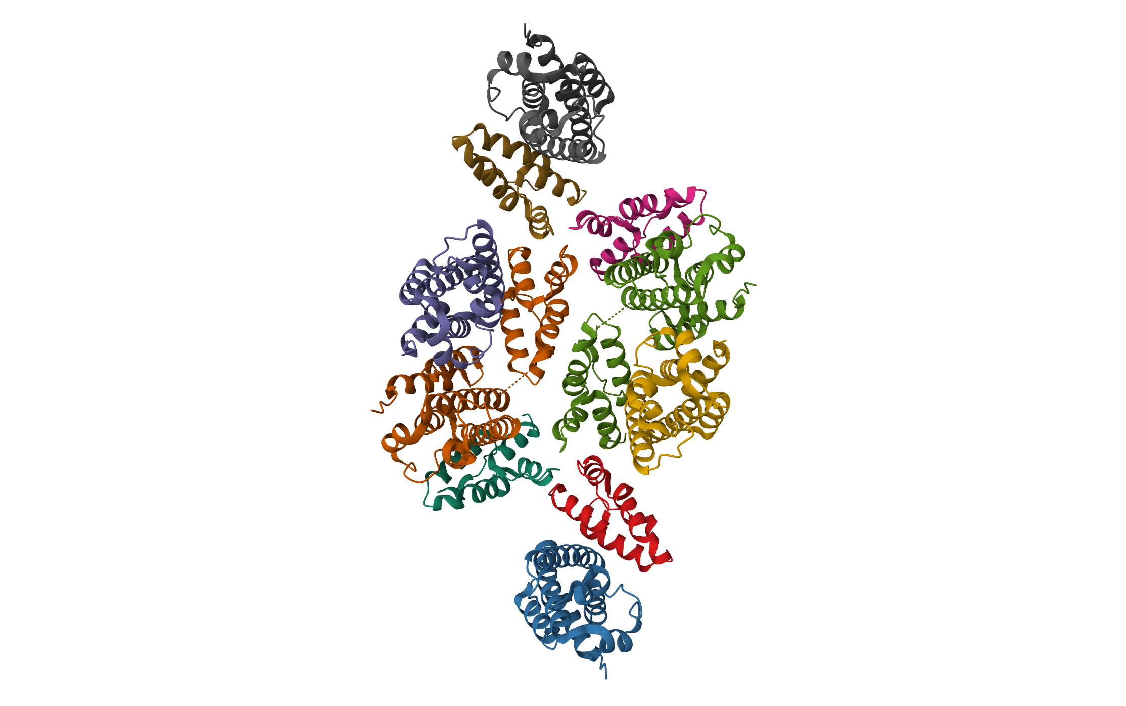 Mature RSV CA lattice: Group III, hexamer-hexamer interface, class 3'5 · PDB: 7NOE · 2021