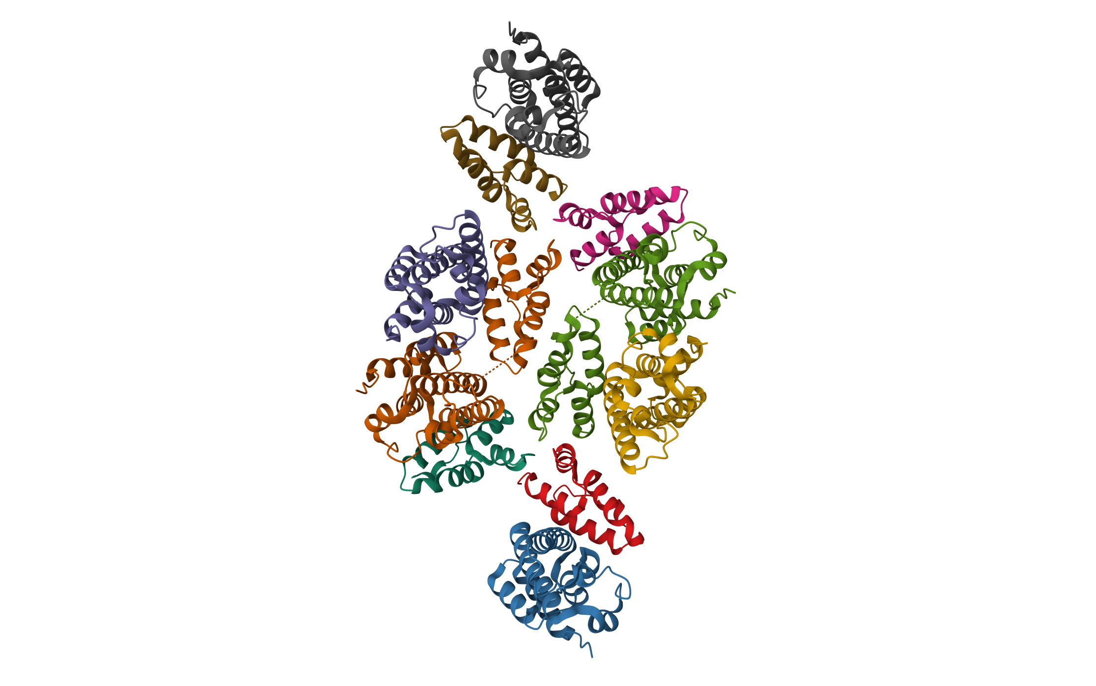 Mature RSV CA lattice: Group IV, hexamer-hexamer interface, class 3'Alpha · PDB: 7NOI · 2021