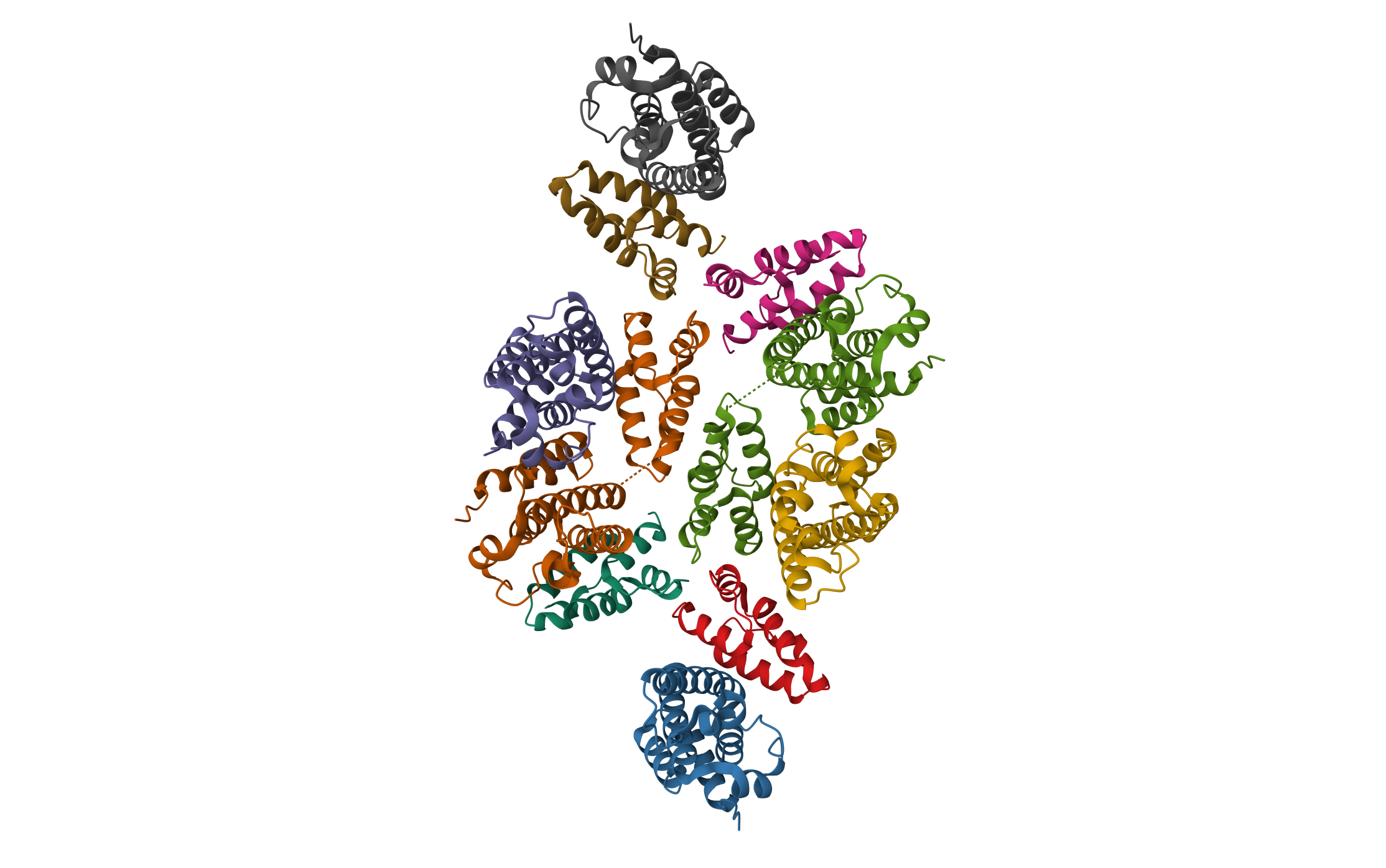 Mature RSV CA lattice: Group II, hexamer-hexamer interface, class 6 · PDB: 7NOA · 2021