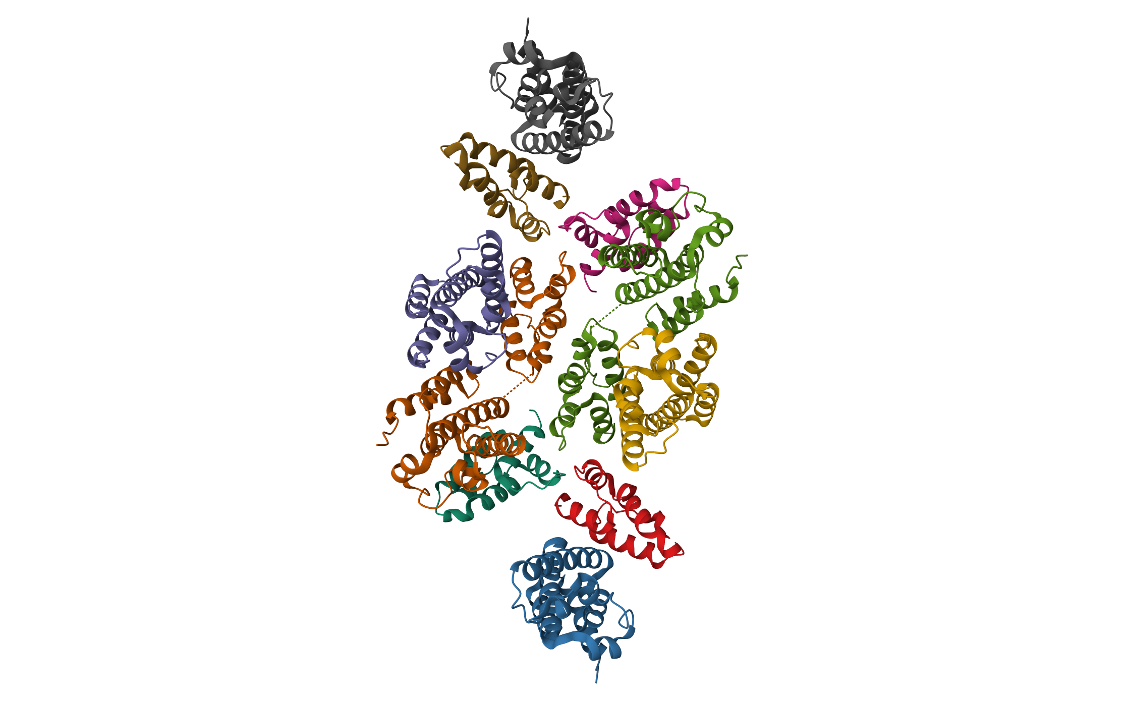 Mature RSV CA lattice: Group III, hexamer-hexamer interface, class 5'5 · PDB: 7NOH · 2021