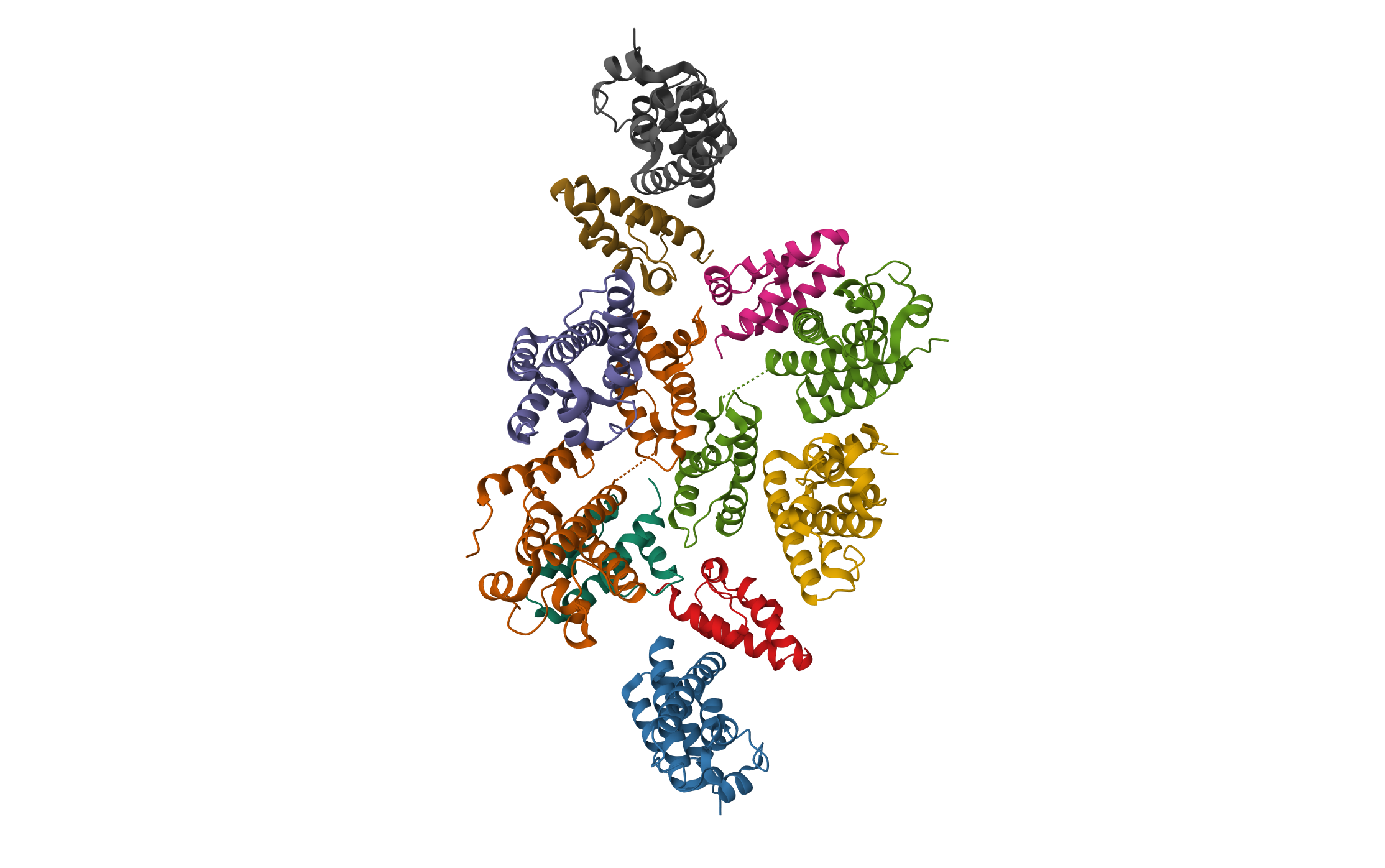 Mature RSV CA lattice: Group I, pentamer-hexamer interface, class 1"2 · PDB: 7NO7 · 2021
