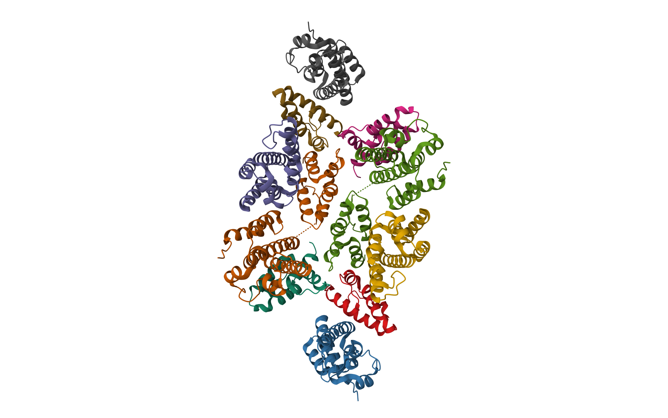 Mature RSV CA lattice: Group IV, hexamer-hexamer interface, class 4'Beta · PDB: 7NOM · 2021