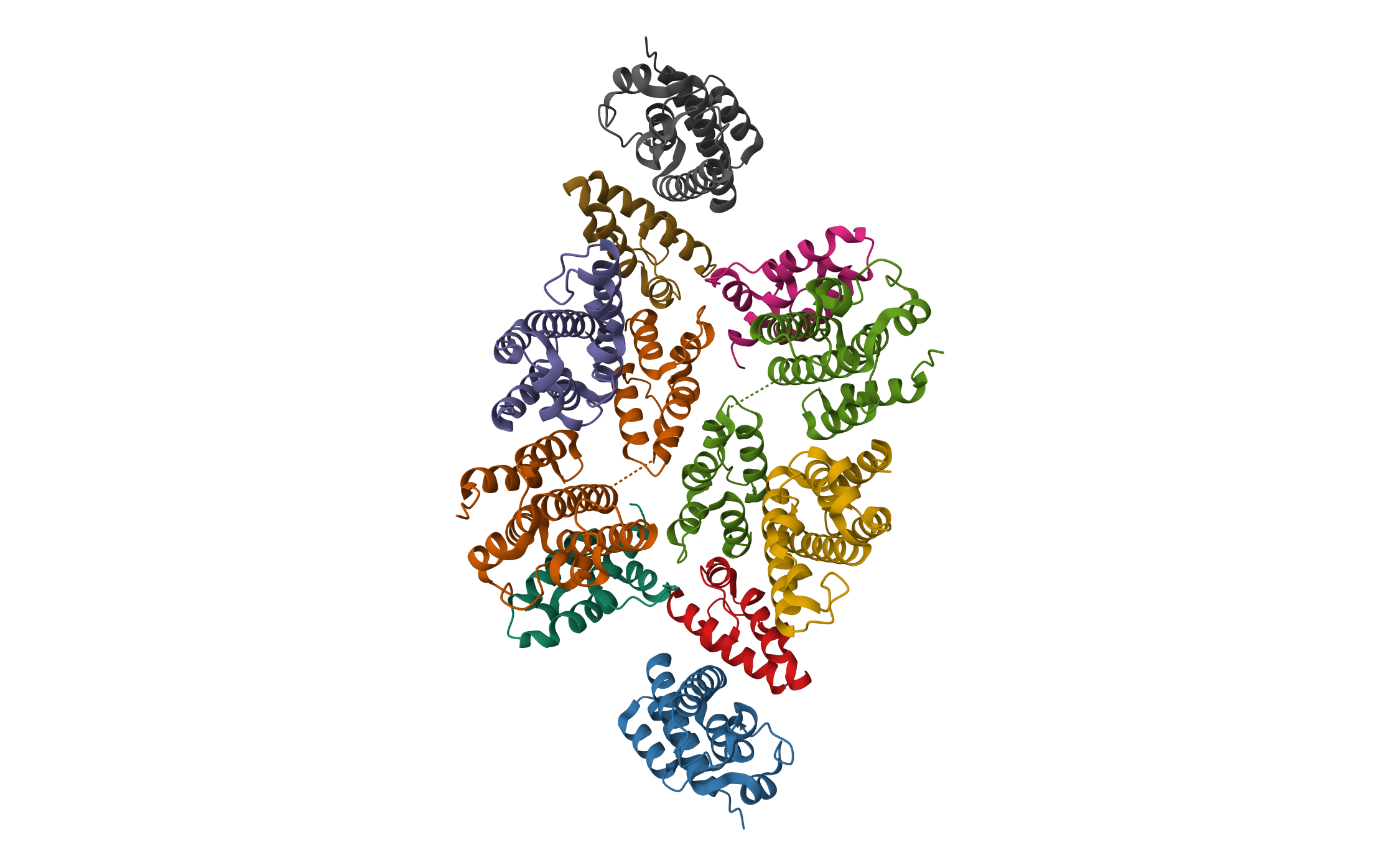 Mature RSV CA lattice: Group IV, hexamer-hexamer interface, class 3'Beta · PDB: 7NOJ · 2021