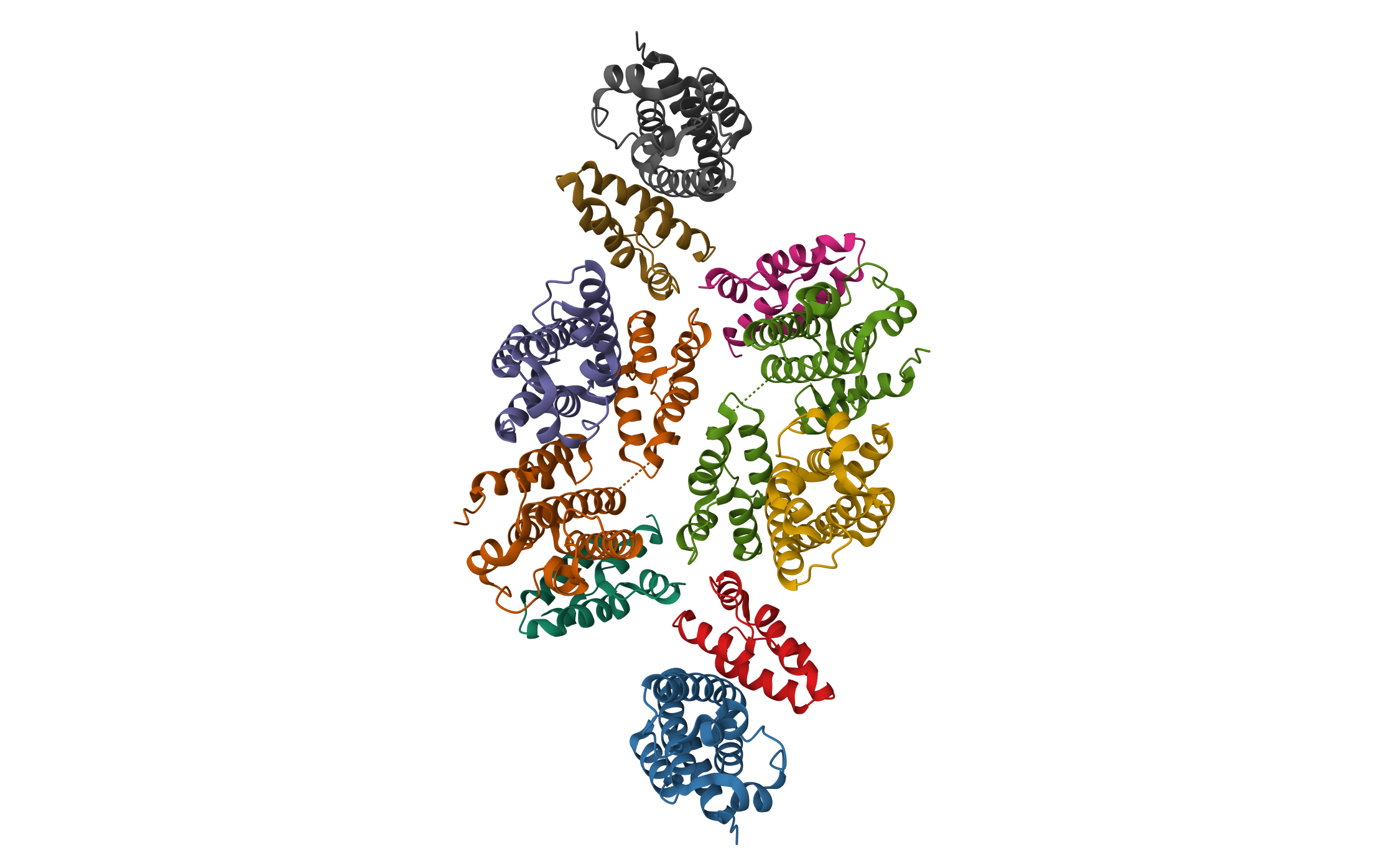 Mature RSV CA lattice: Group IV, hexamer-hexamer interface, class 4'Alpha · PDB: 7NOL · 2021