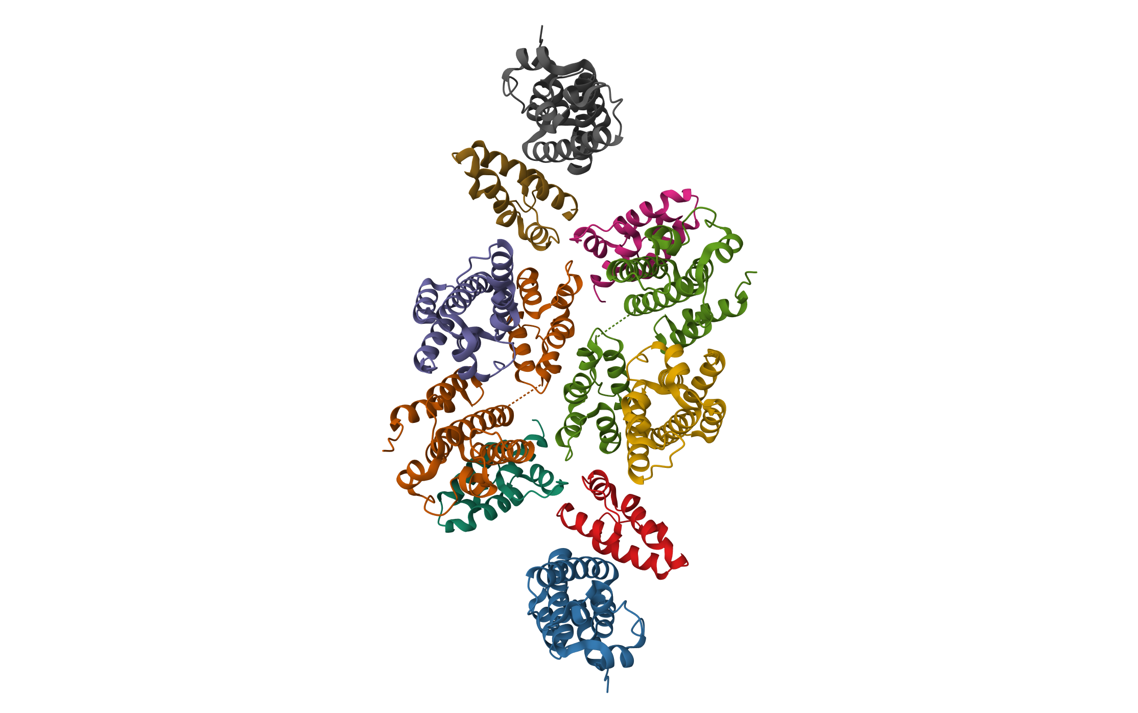 Mature RSV CA lattice: Group IV, hexamer-hexamer interface, class 5'Gamma · PDB: 7NOQ · 2021