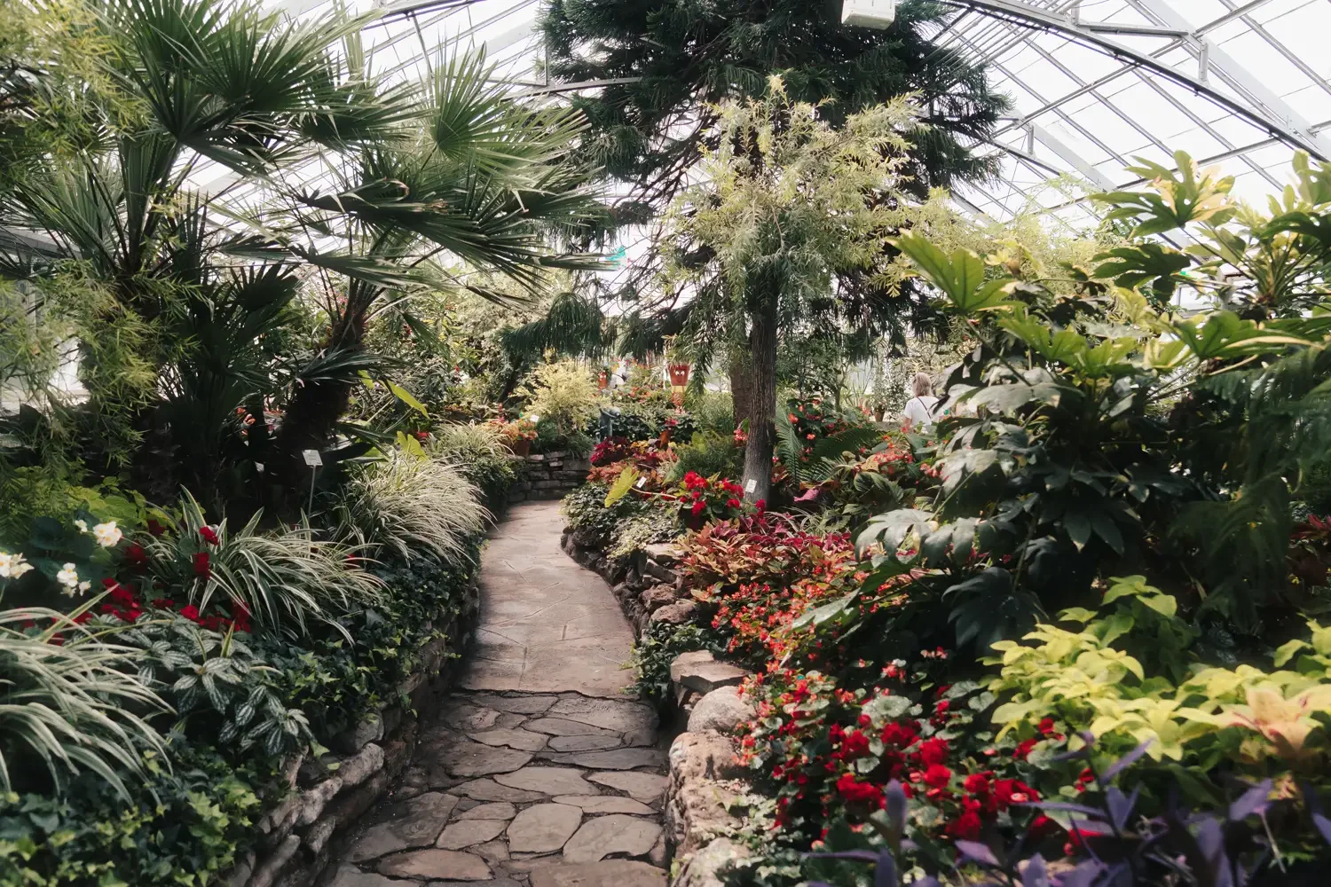 JOA07539 romantic-couple-shoot-allen-gardens.webp