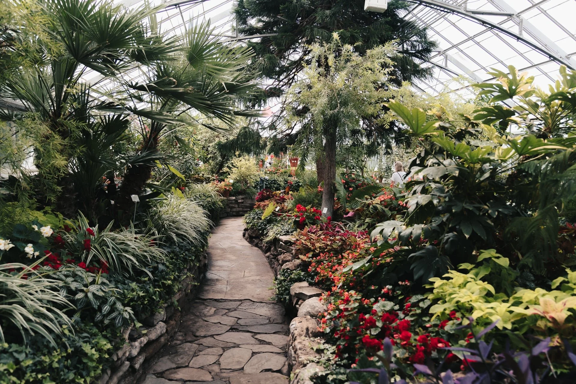 allan-gardens-conservatory-toronto-wedding-jo-anto-photography (11) - Copy.jpg
