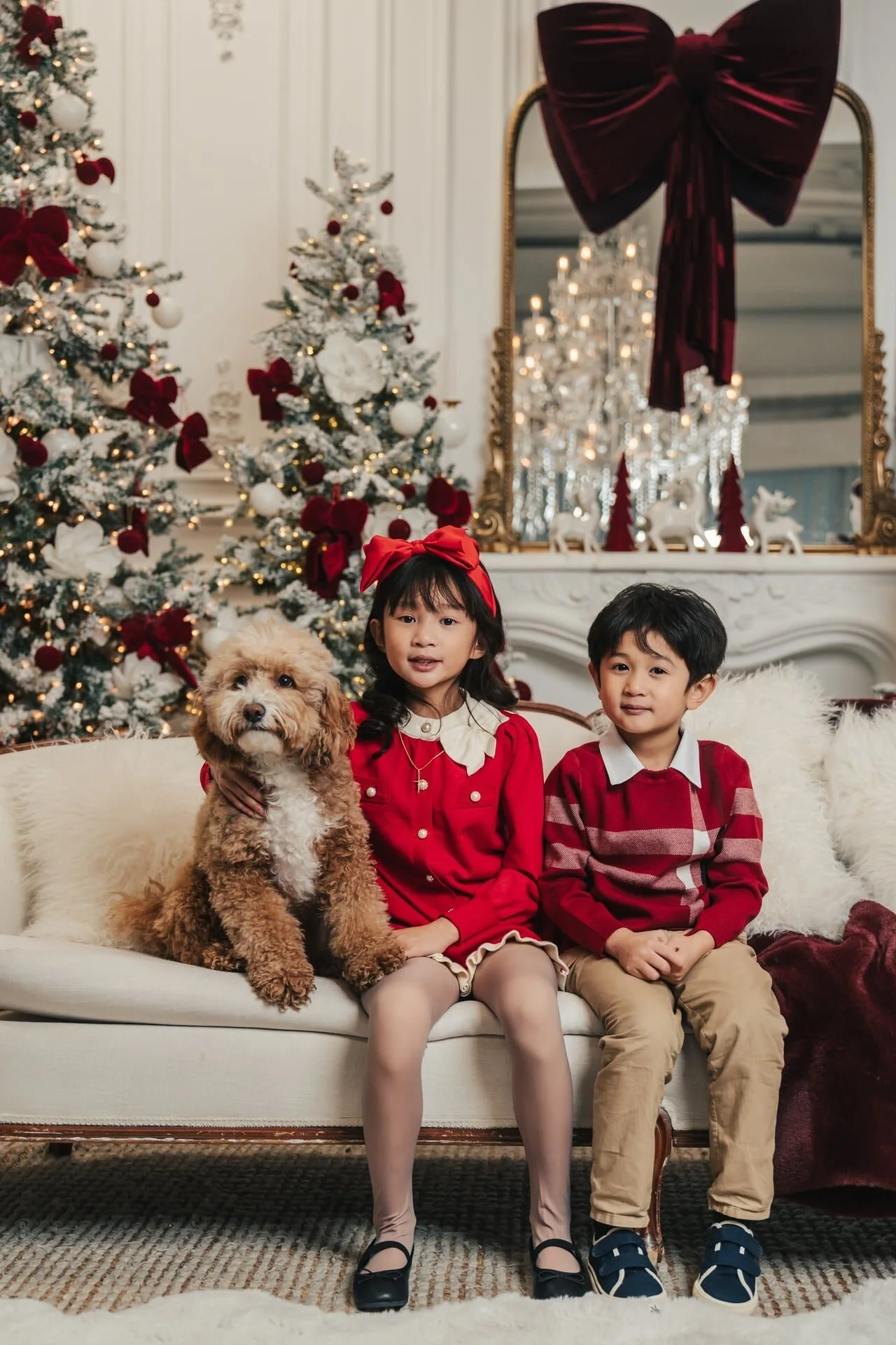 christmas-mini-session-with-dog-glasshouse-studios-sophia-room.jpg