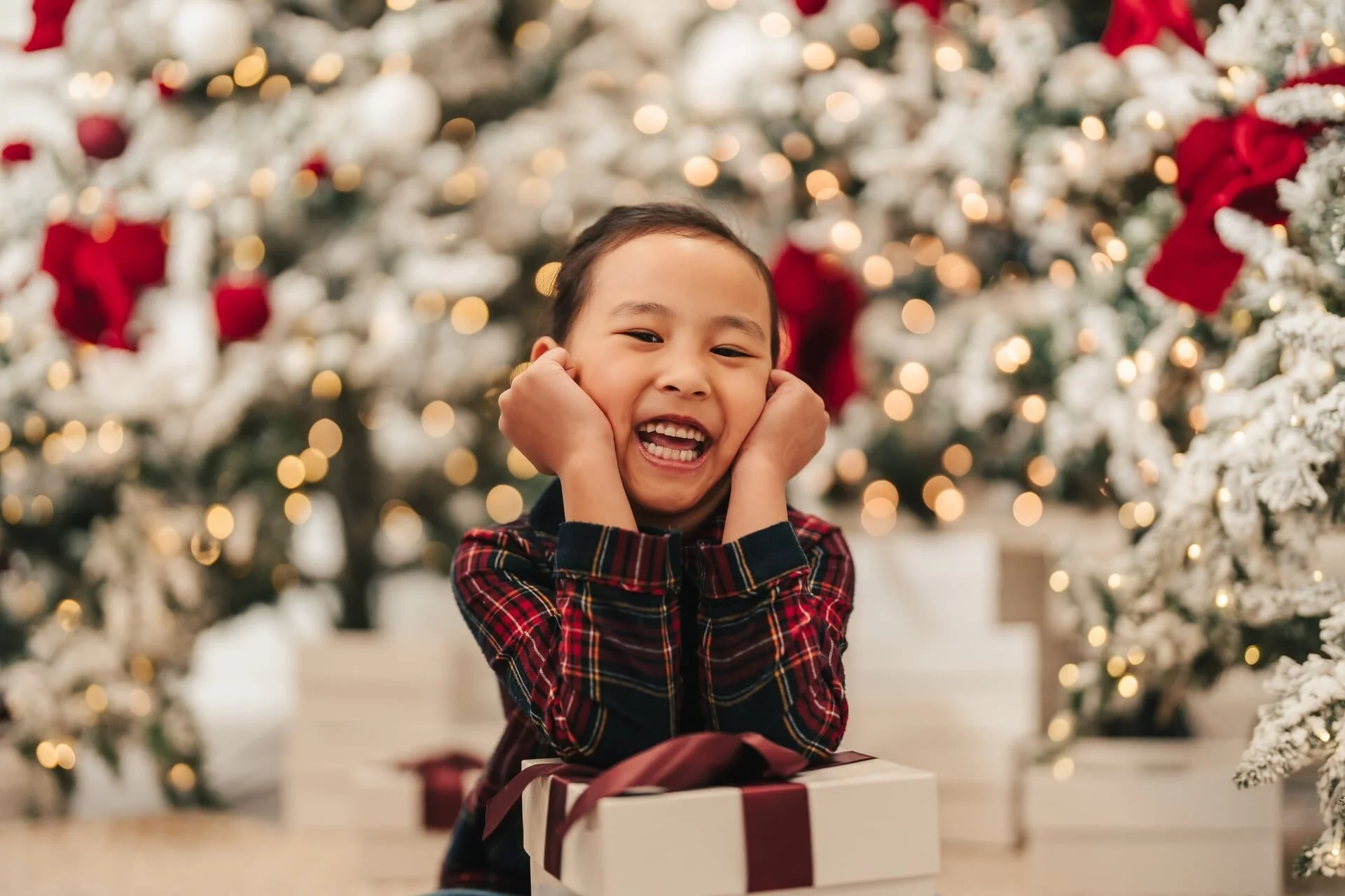 Christmas Mini Sessions in the Sophia Room at Glasshouse Studios