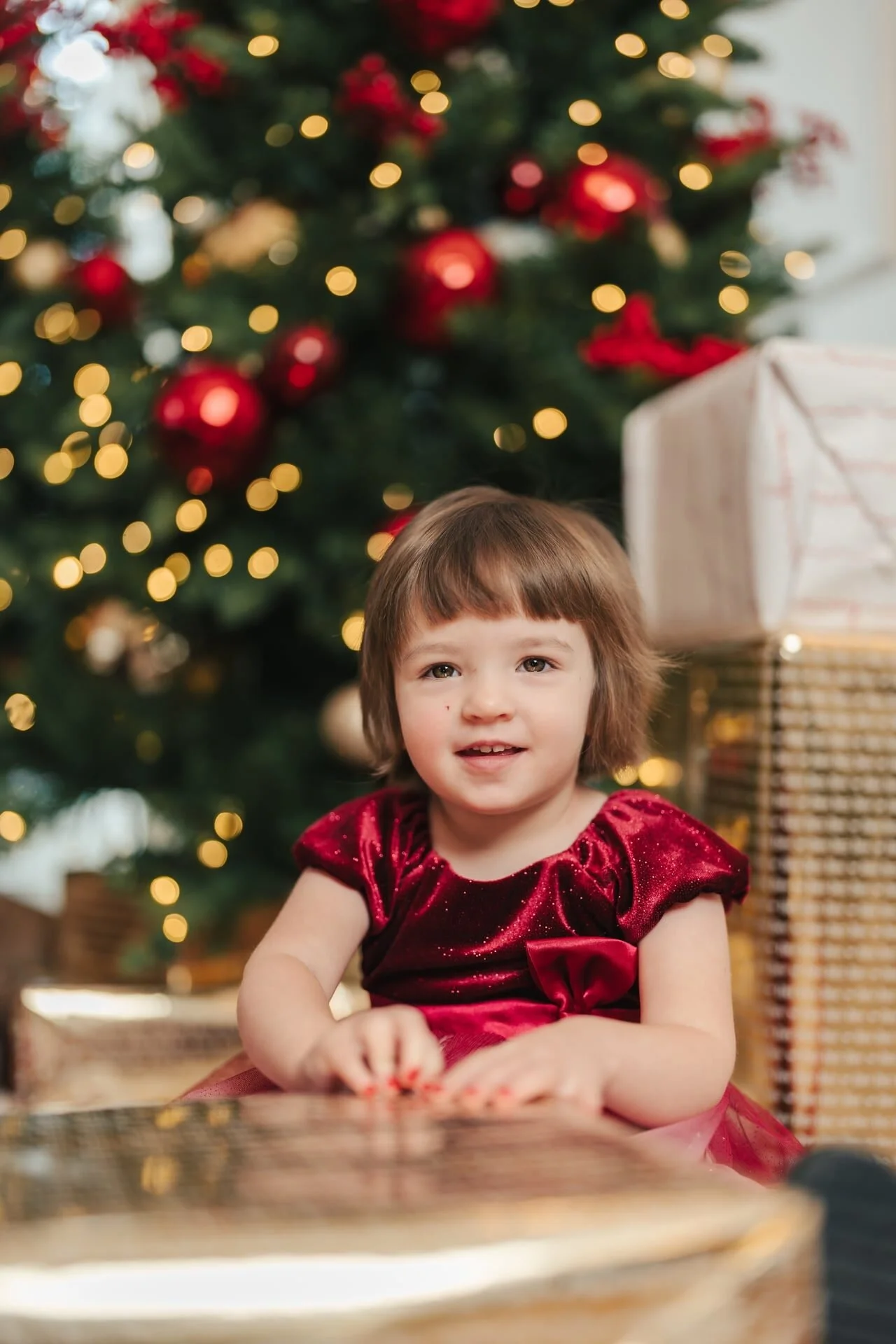 girl-red-velvet-christmas-mini-session-toronto.jpg
