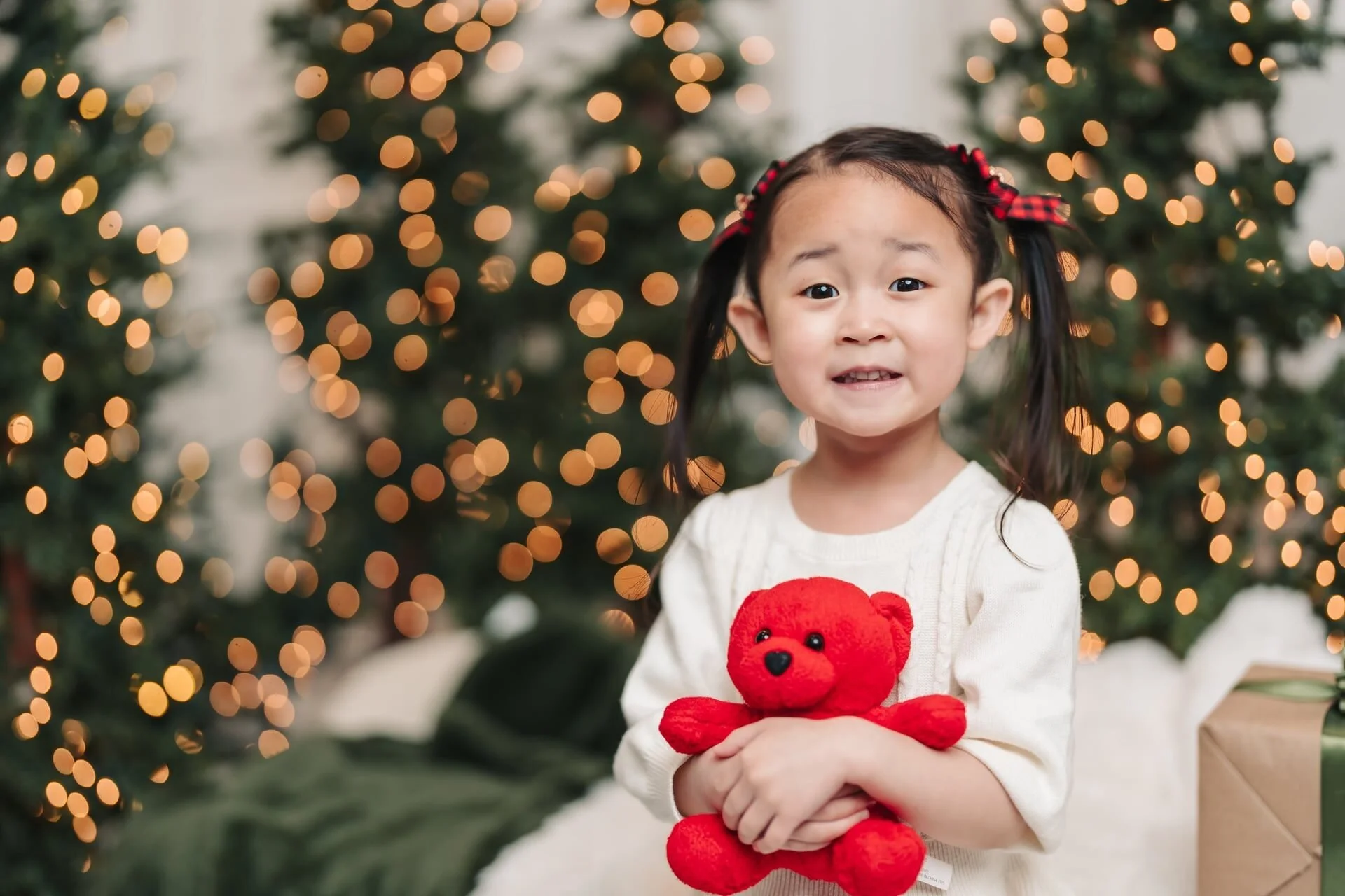 girl-with-teddy-christmas-mini-session-toronto.jpg