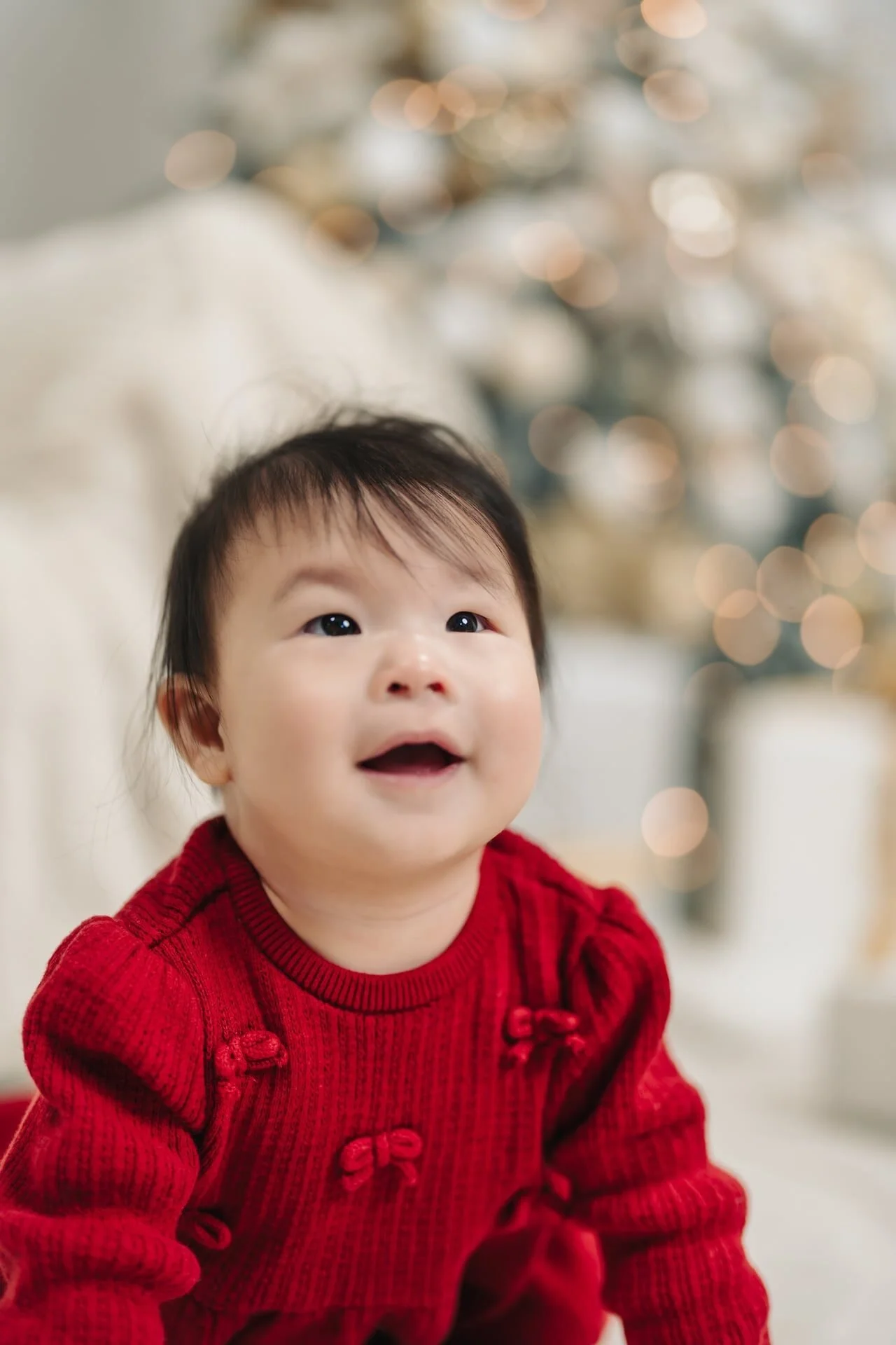 baby-first-christmas-mini-session-toronto-price.jpg