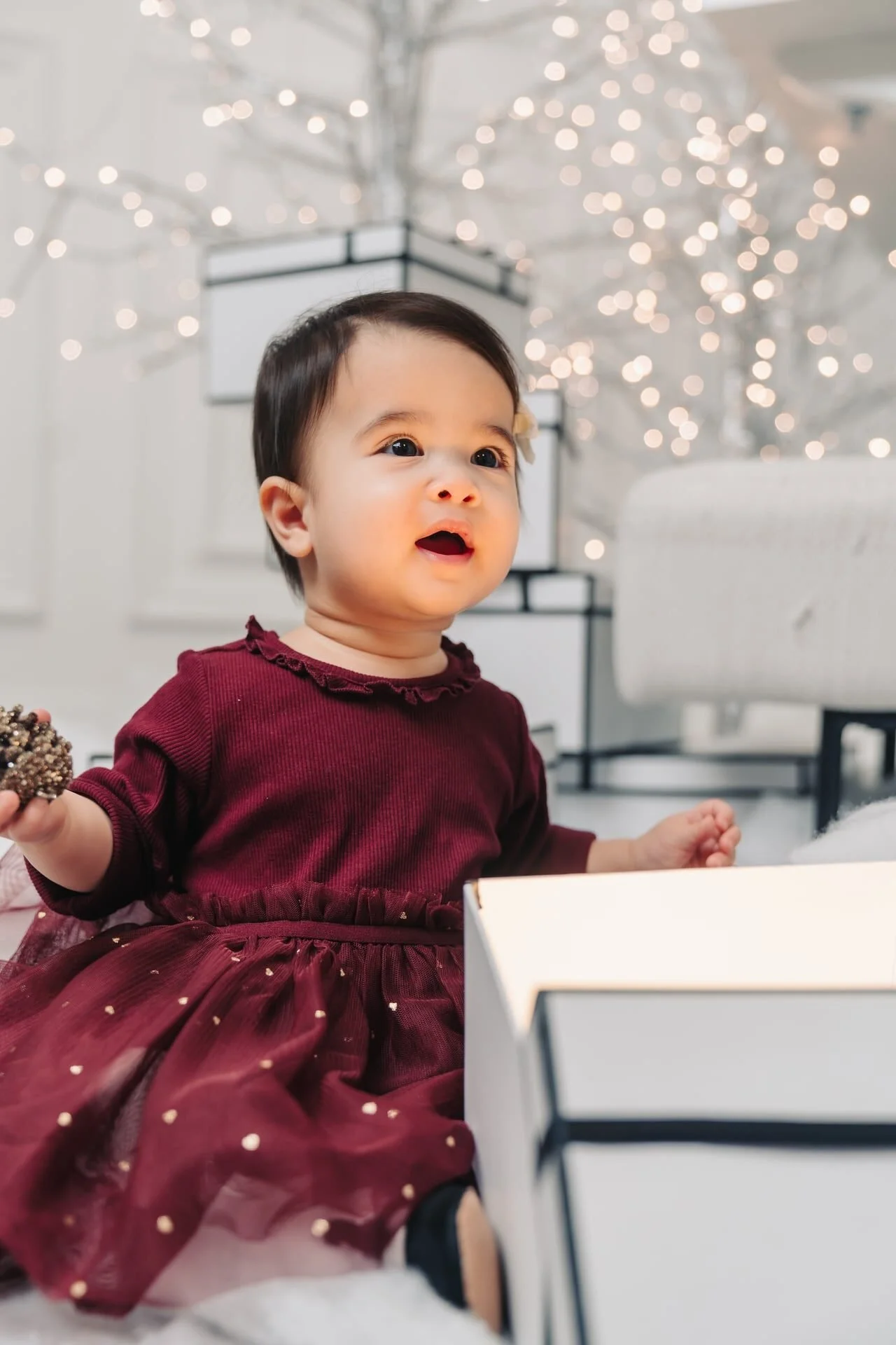 baby-girl-christmas-mini-session-toronto.jpg