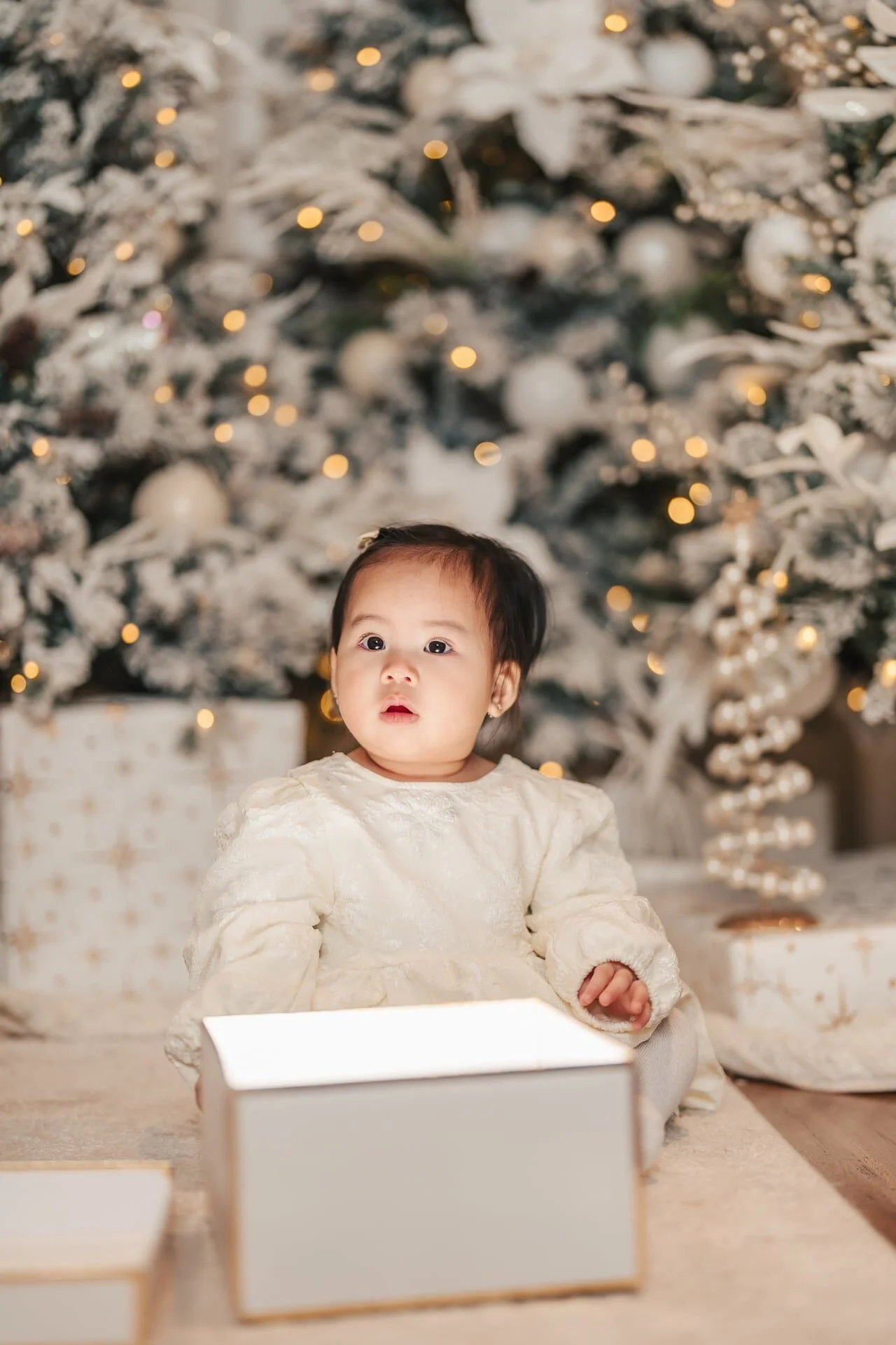 baby-with-gift-christmas-mini-session-toronto.jpg