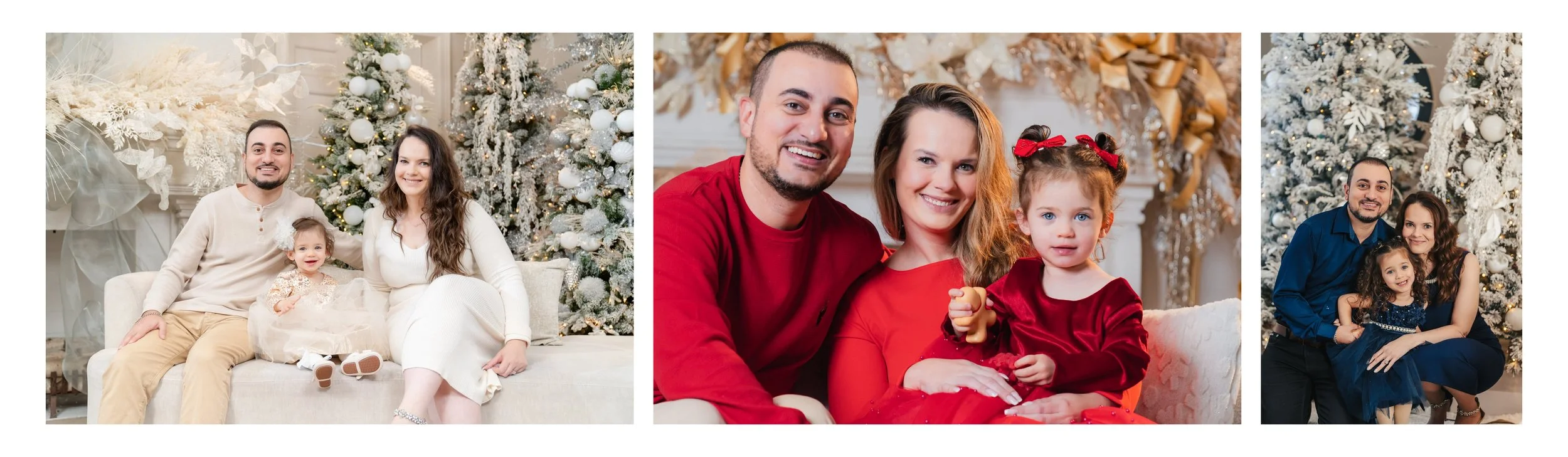 toronto-family-christmas-mini-tradition-every-year.jpg
