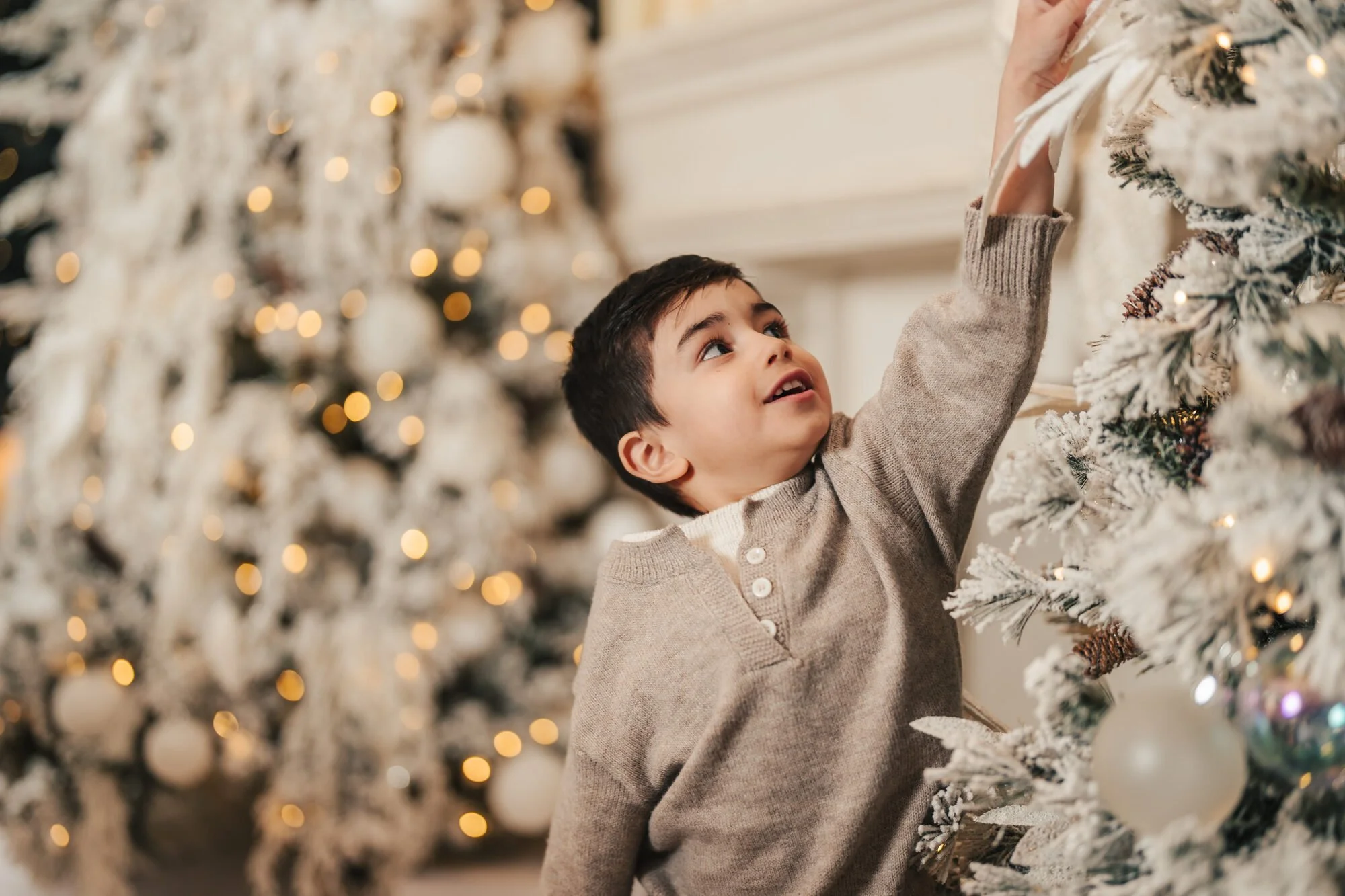 Boy reaching up at a twinkling Christmas tree at a Toronto mini session