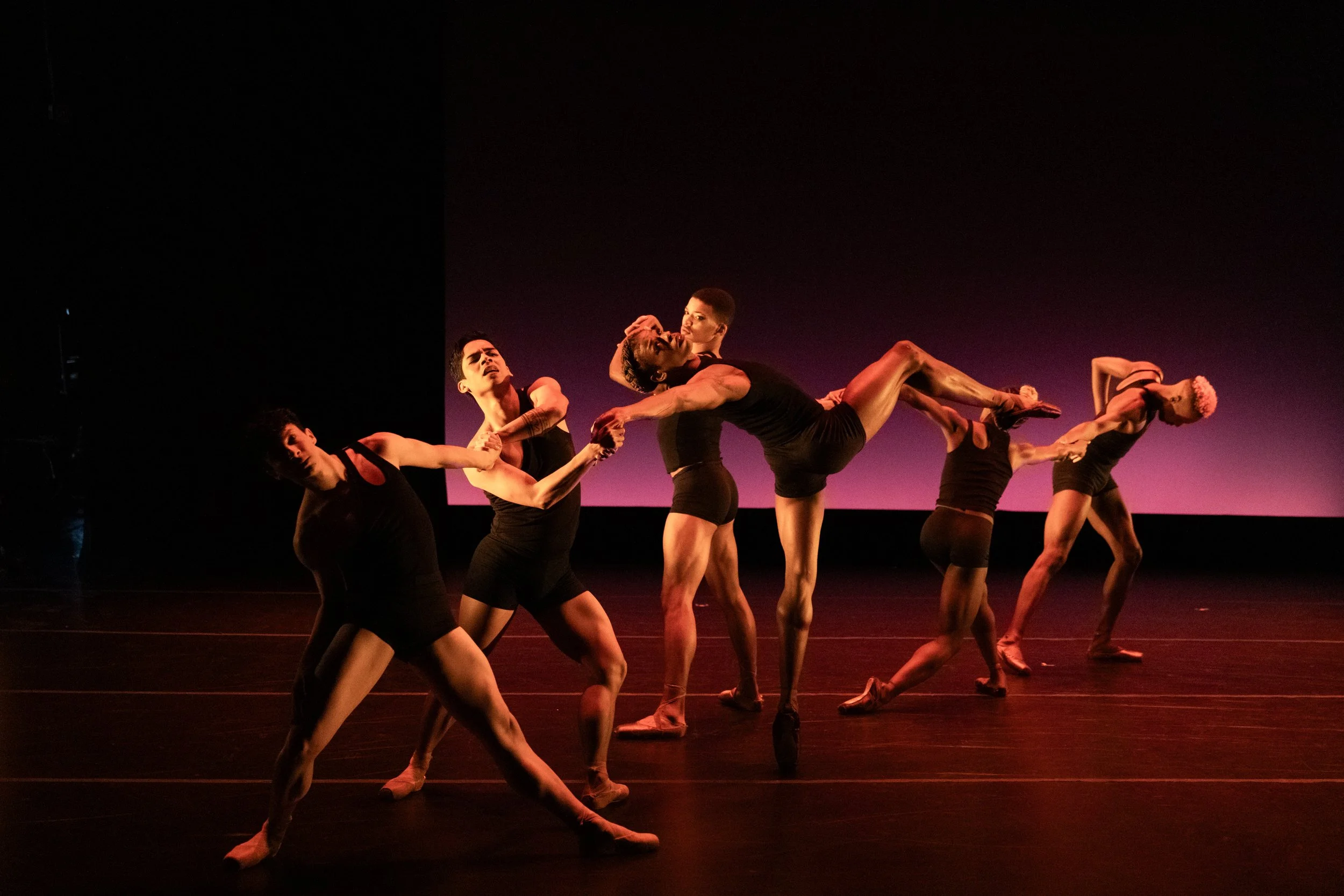 fjord | Momentum | Rachel Howard