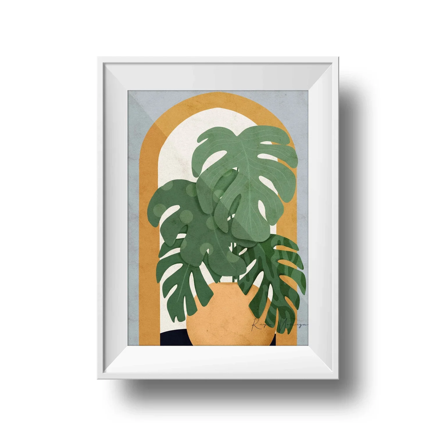 Monstera Bliss