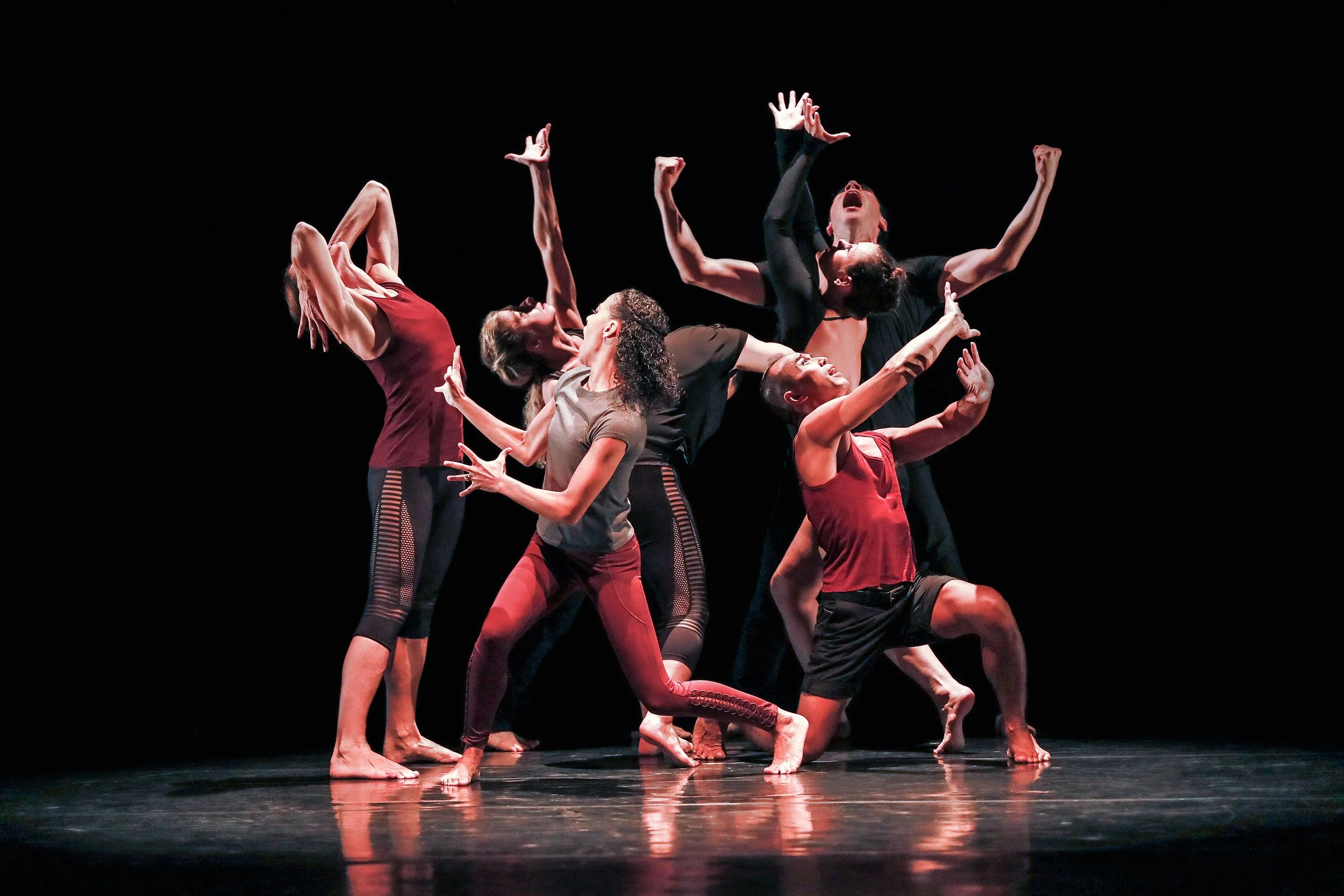 "Movements in Resilience" Presented by the Weill Cornell Medicine Center for Human Rights