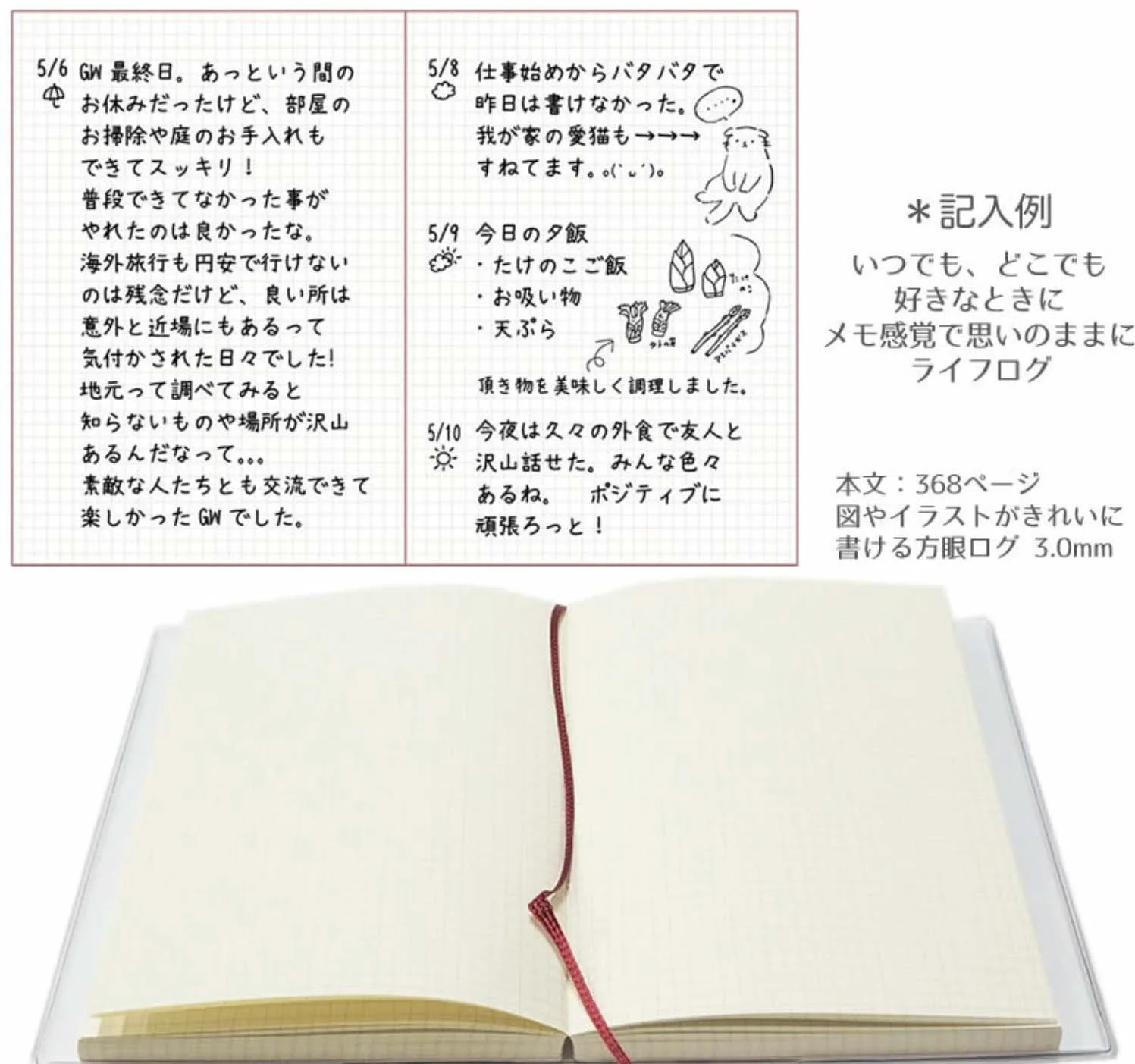 Screenshot 2026-02-25 at 16.27.56.jpg (Copy) (Copy)